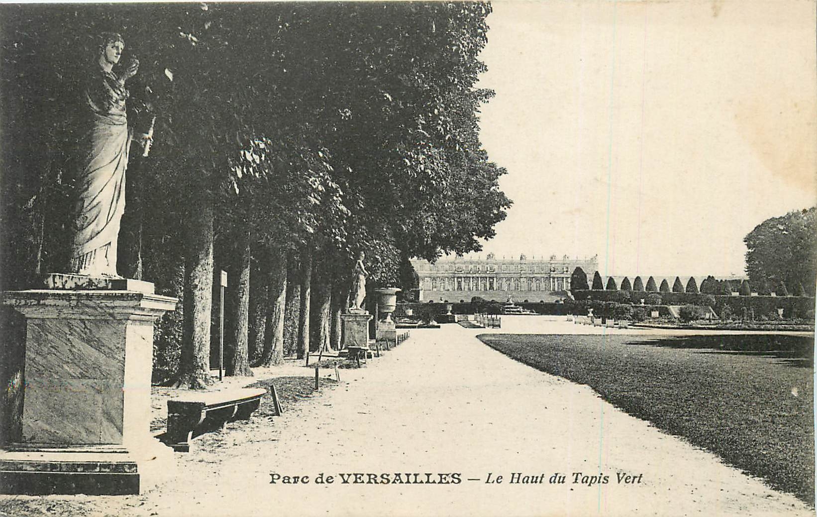 CPA Parc de Versailles Le Haut du Tapis Vert 