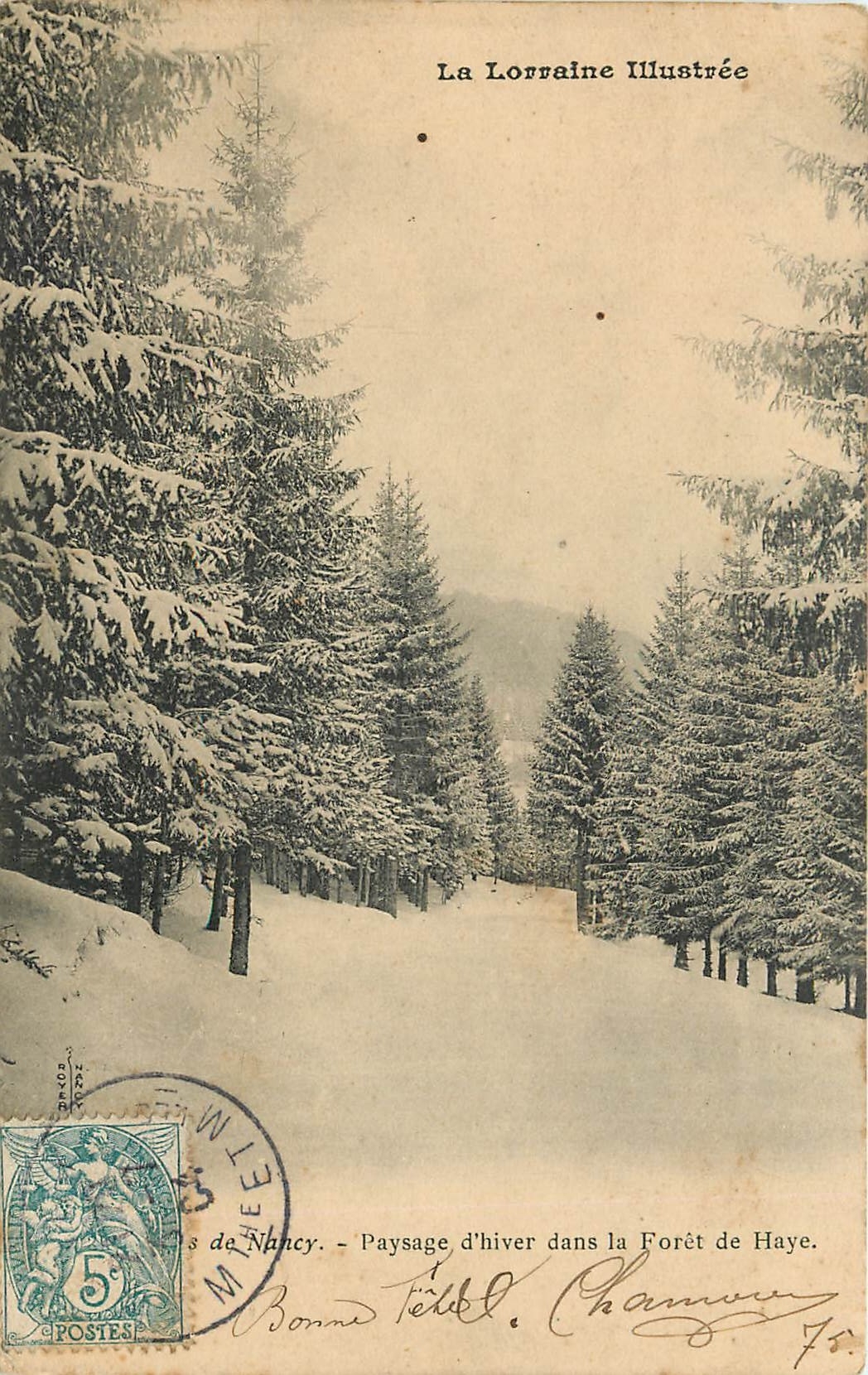 CPA Nancy Paysage d'Hiver dans la Foret de Haye 