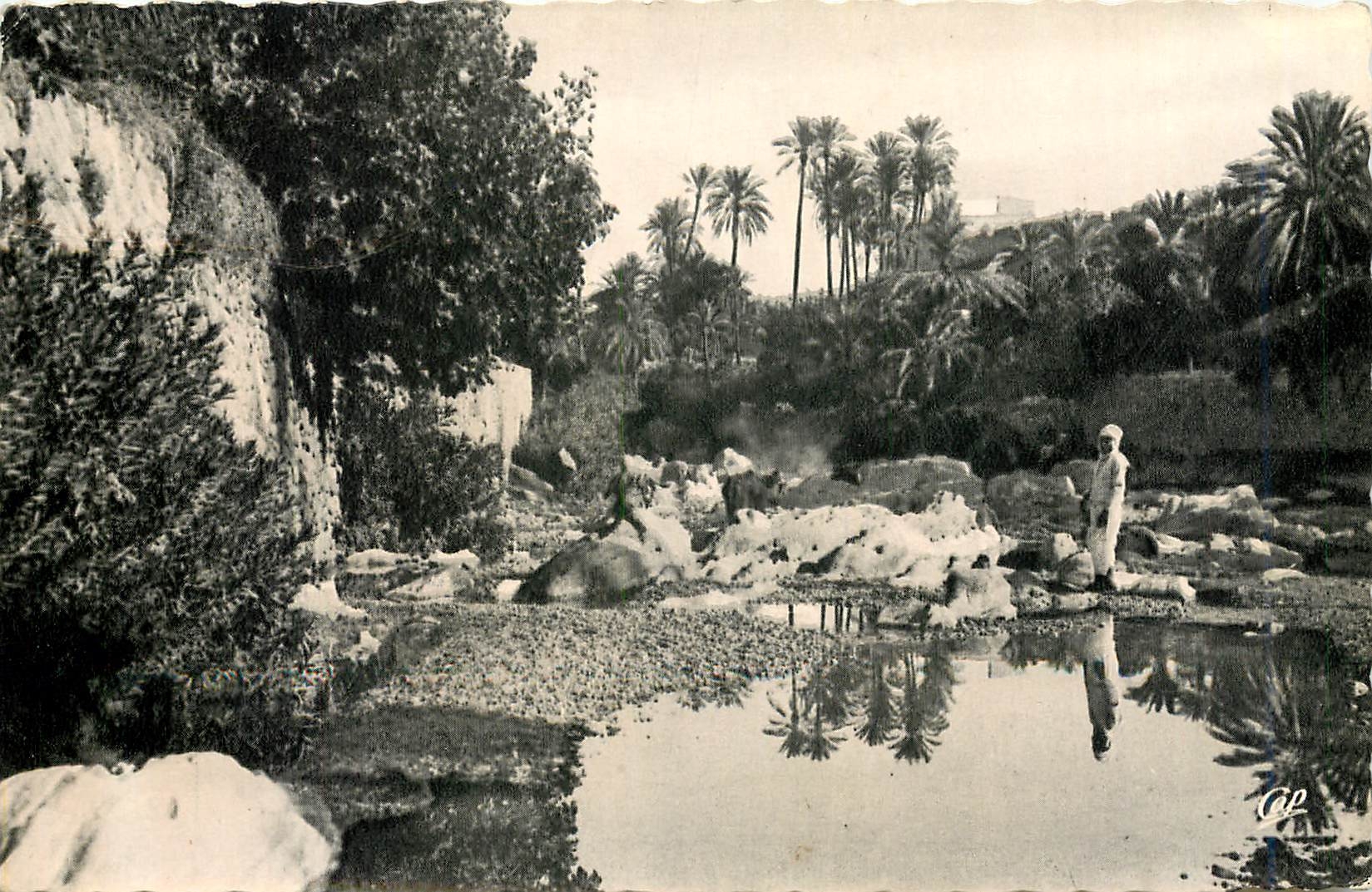 CPA Scenes et types paysage du sud