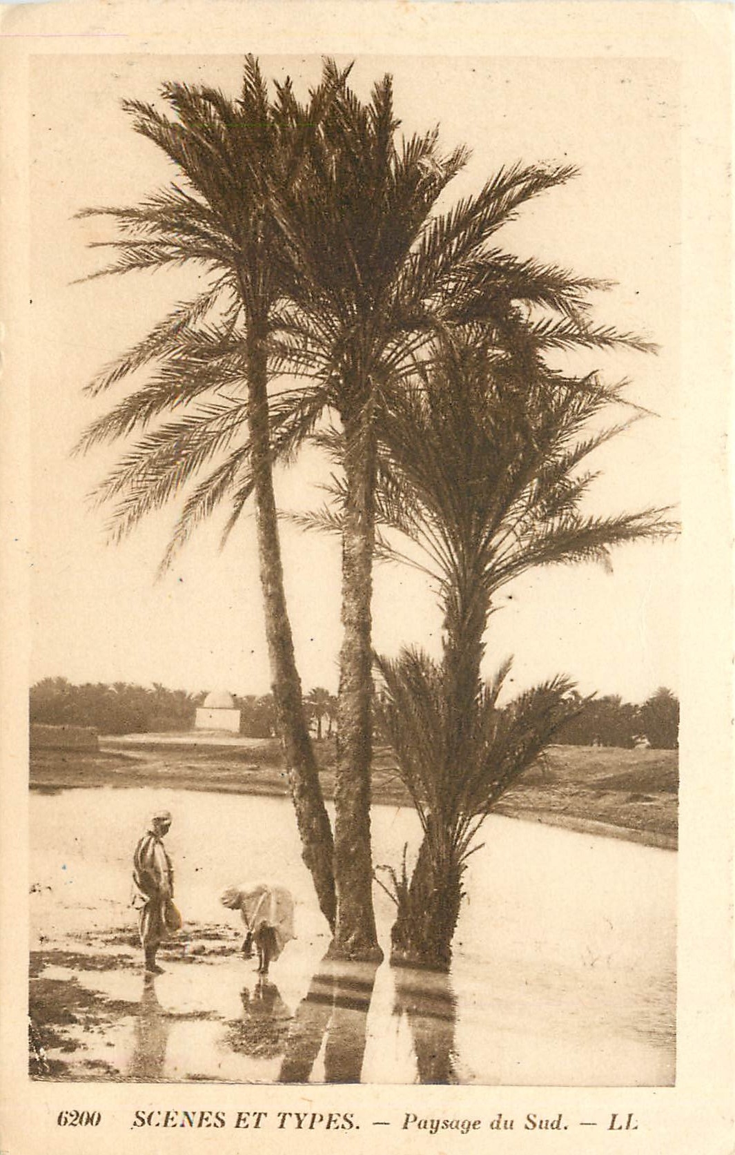 CPA Scenes et types paysage du sud