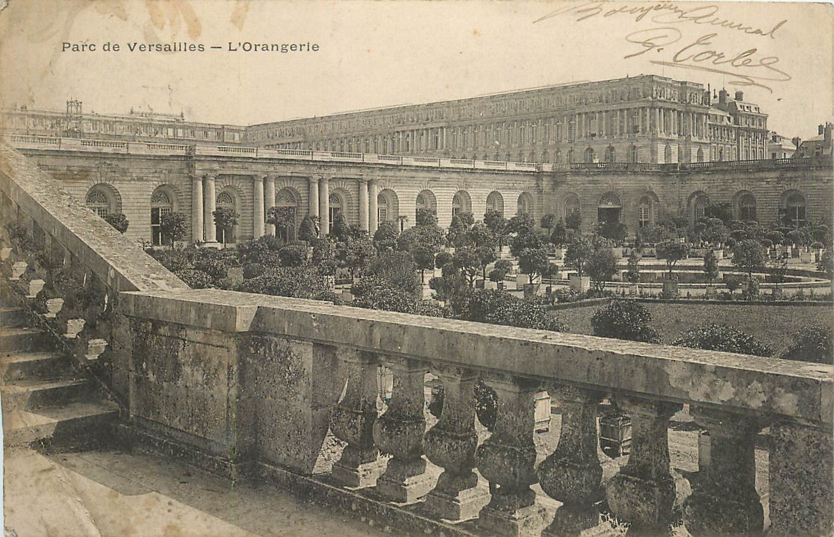 CPA Parc de Versailles l'orangerie