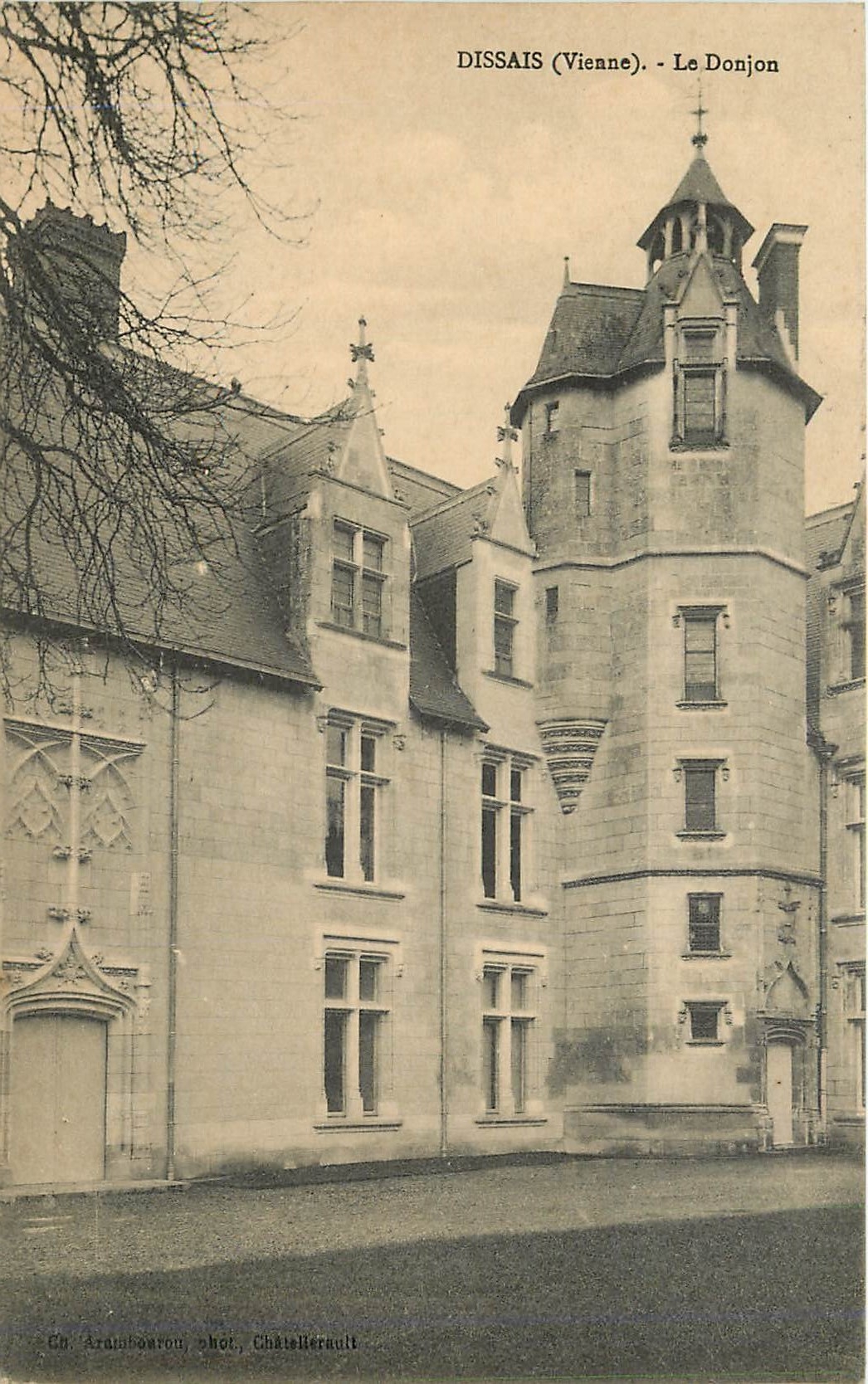 CPA Dissais Vienne le Donjon