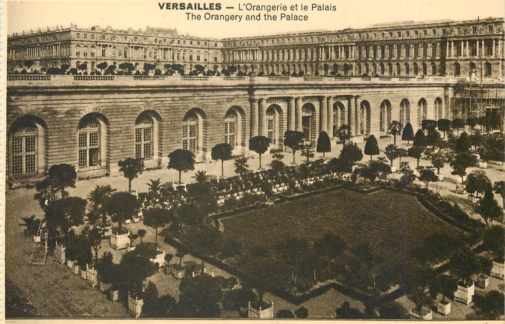 CPA Versailles L'Orangerie et le palais 