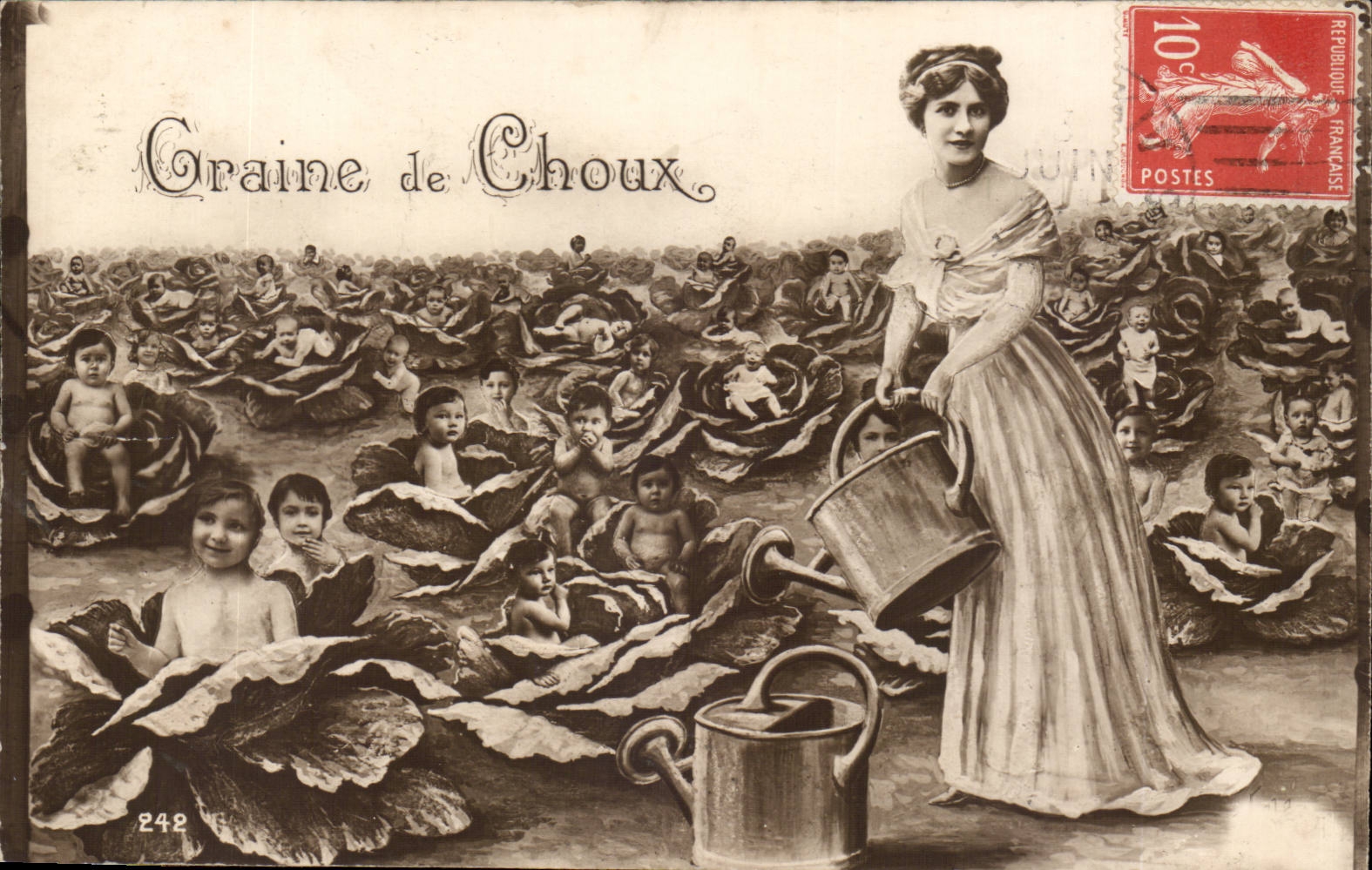 Fantasy CPA Granulates cabbages children