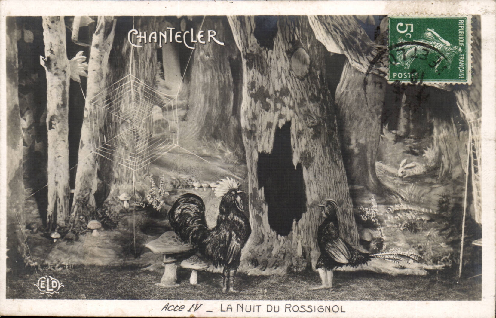 Fantasy CPA Chantecler the night of the nightingale