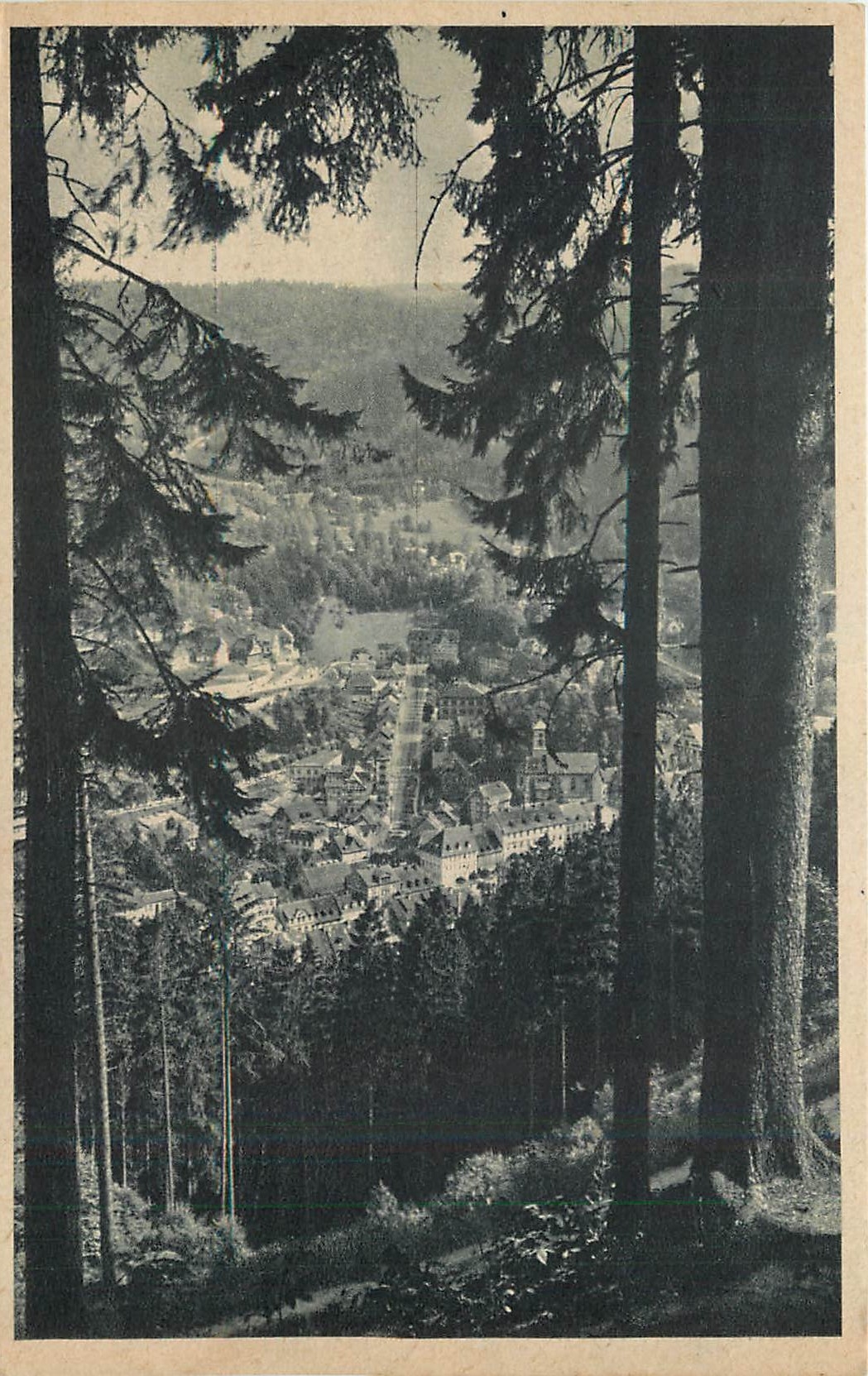 CPA Triberg Schwarzwald 