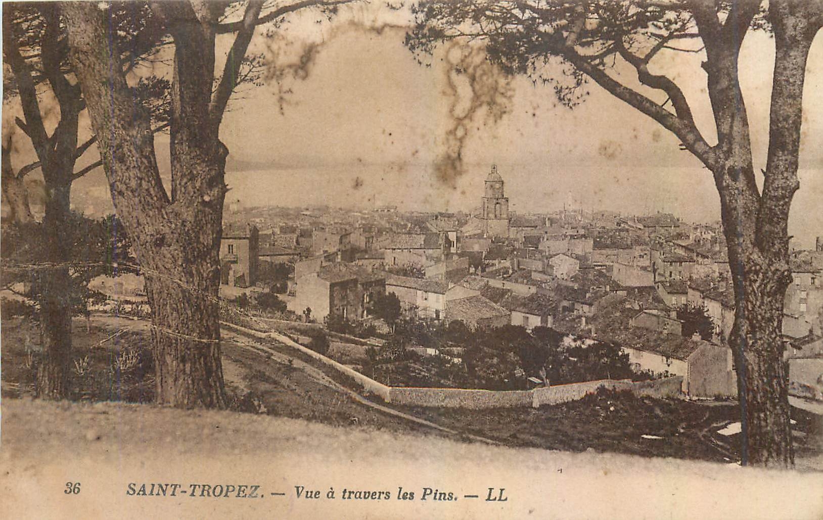 CPA Saint Tropez Vue a travers les Pins 