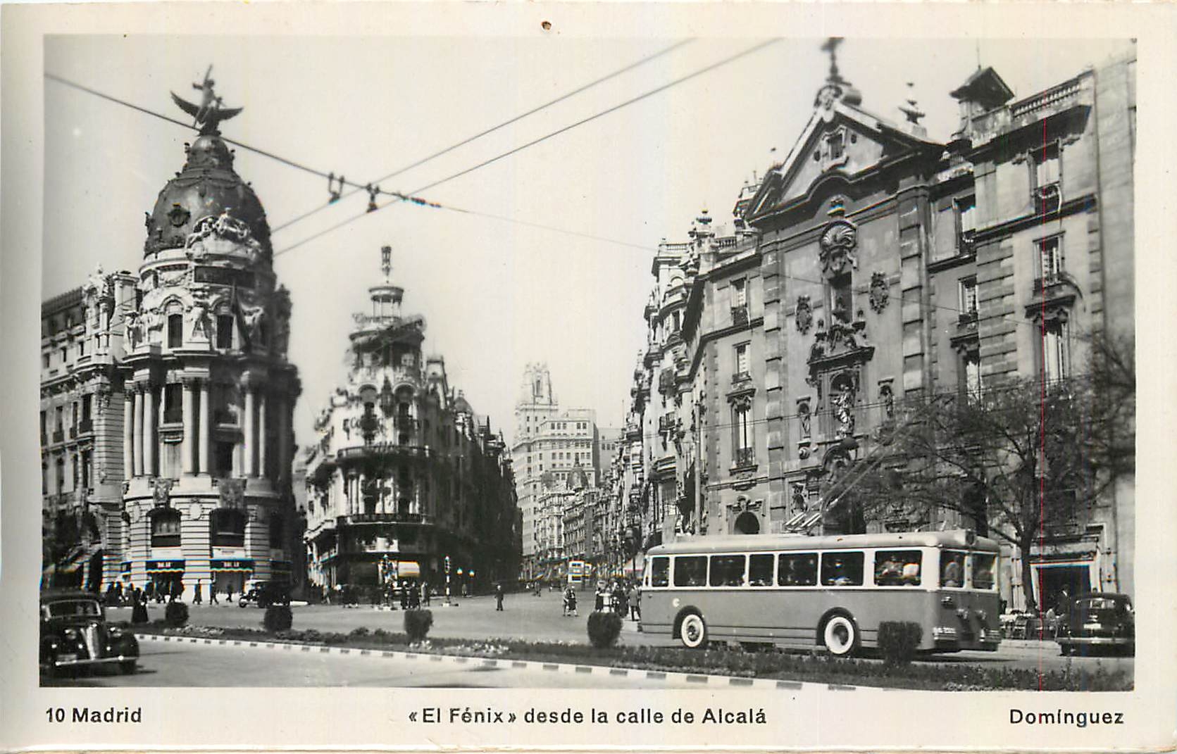 CPA Madrid El Fenix desde la calle de Alcala Dominguez Autobus