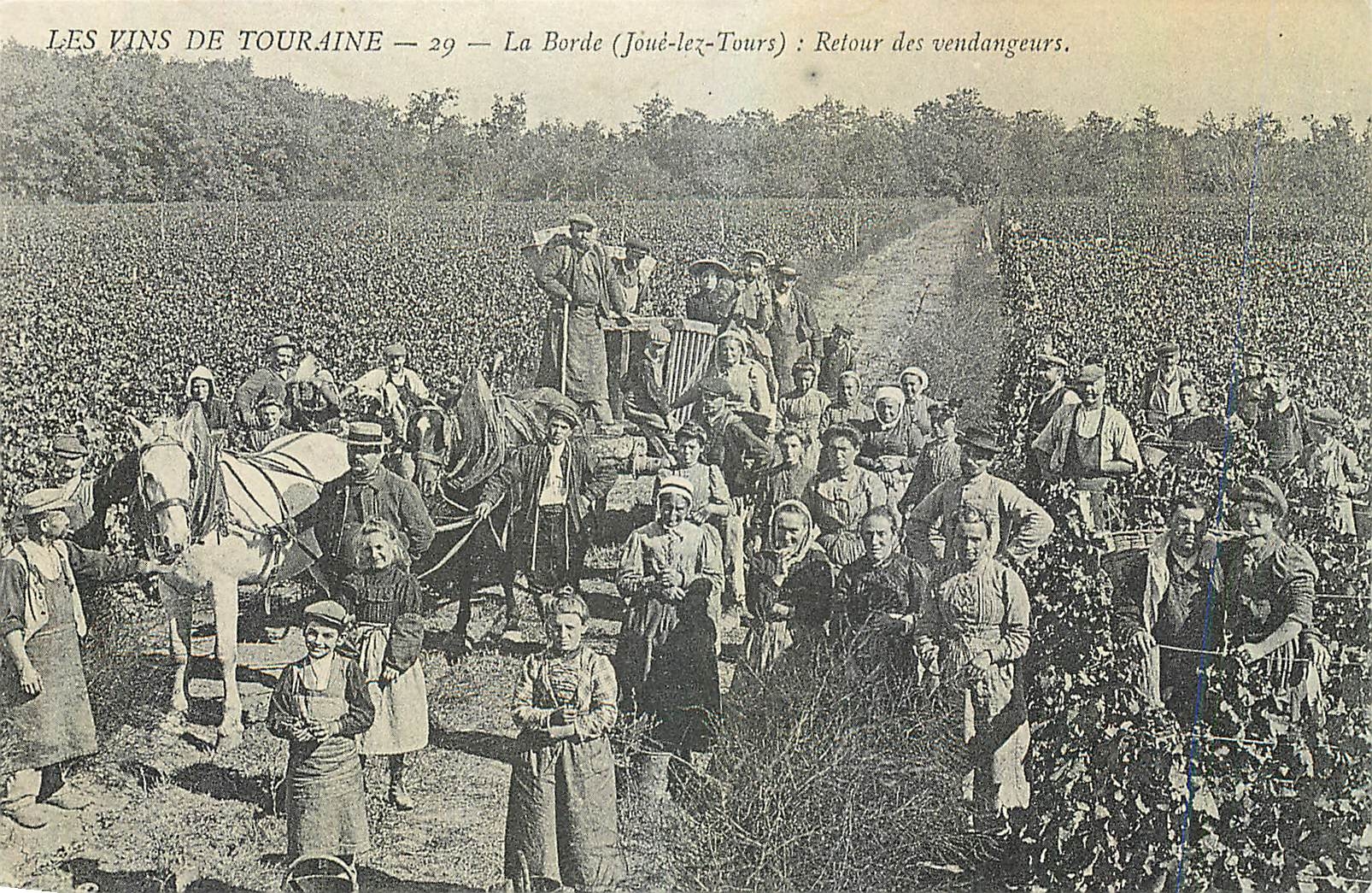 REPRO Les Vins de Touraine La Borde Joue lez Tours
