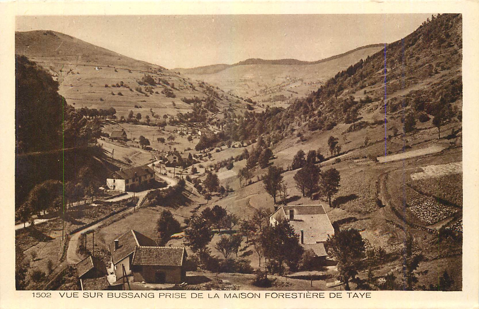 CPA Vue sur Bussang prise de la maison Forestiere de Taye
