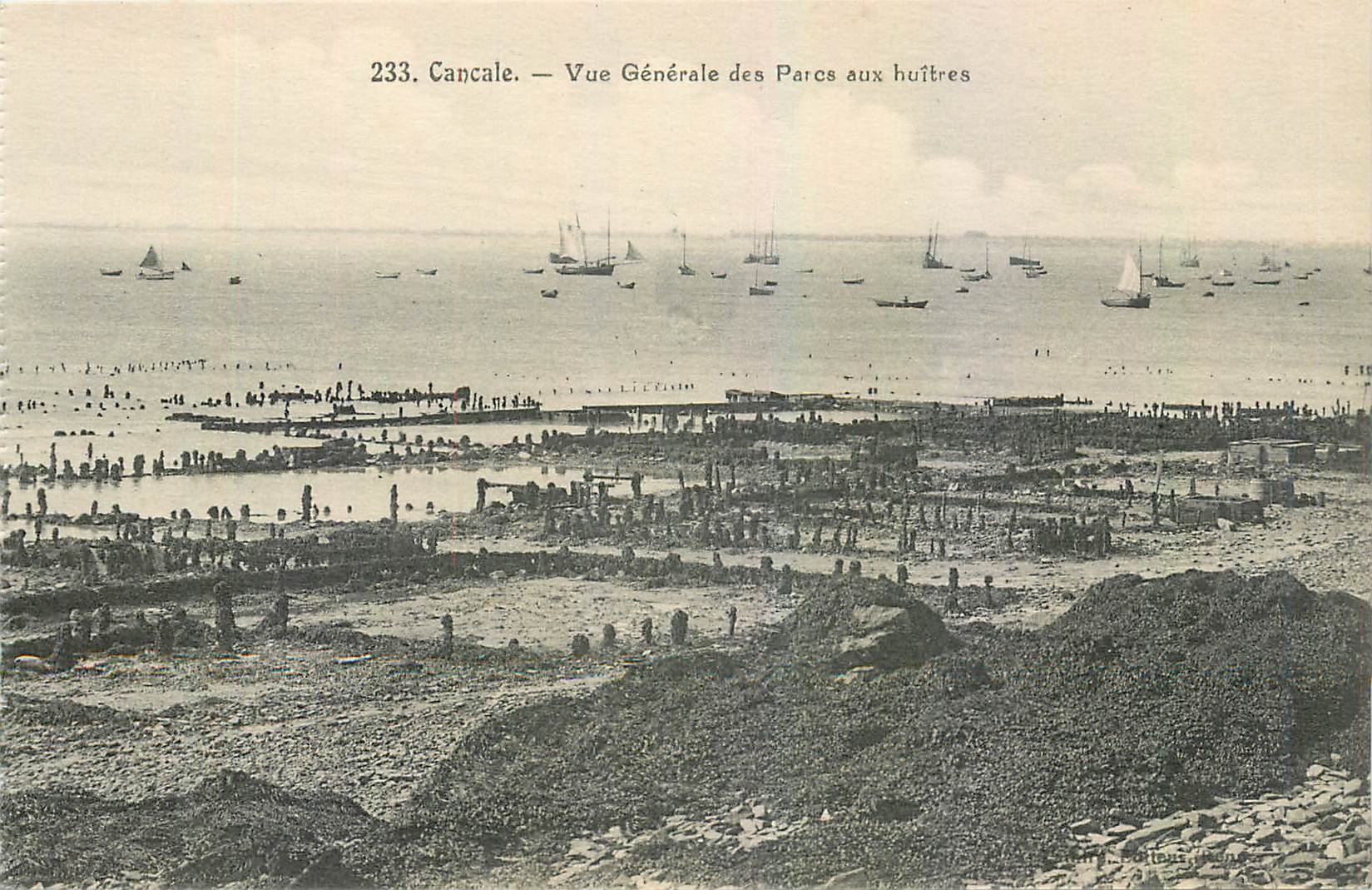 CPA Cancale Vue Generale des Parcs aux huitres