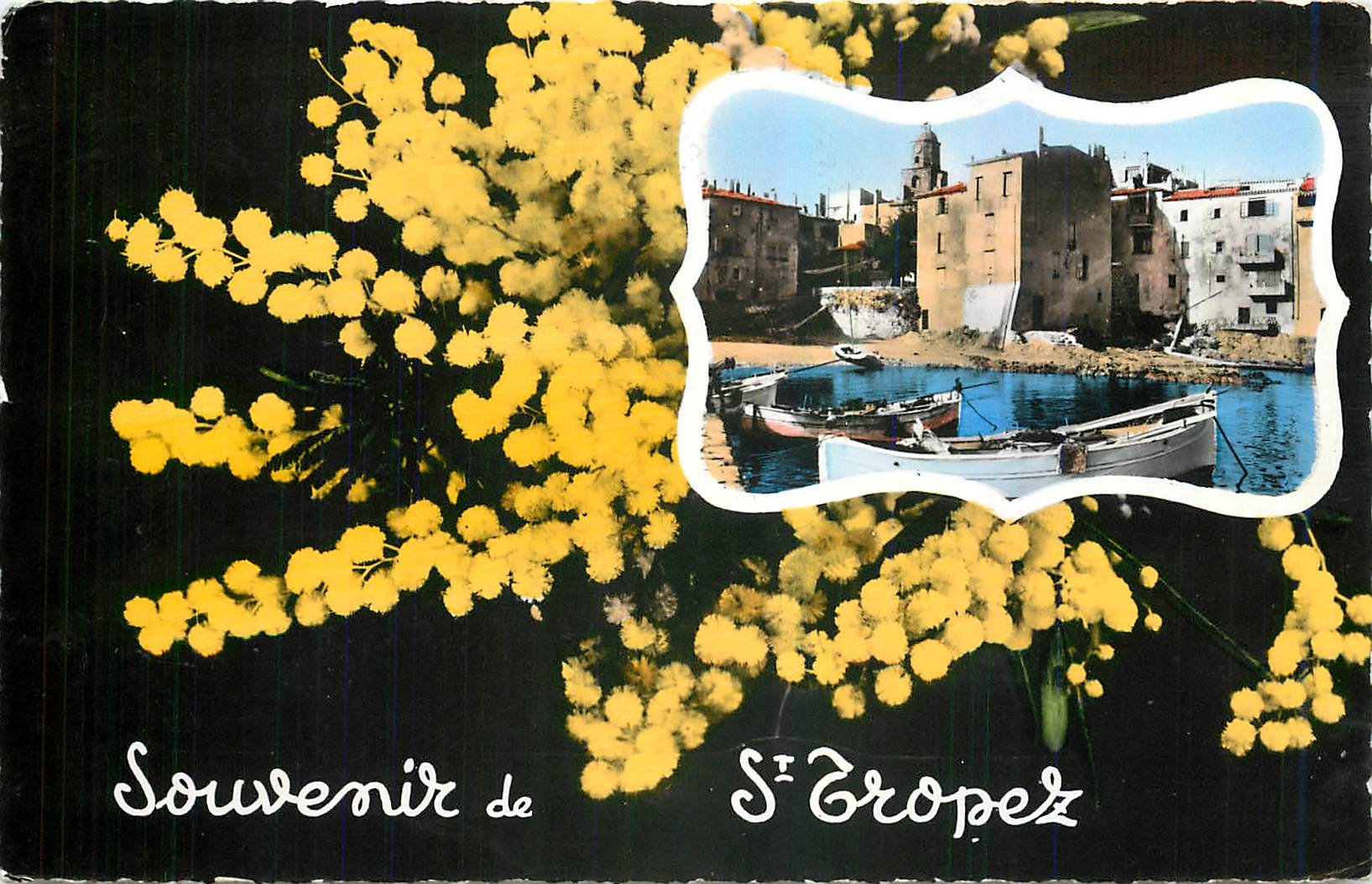 CPM Souvenir de St Tropez 
