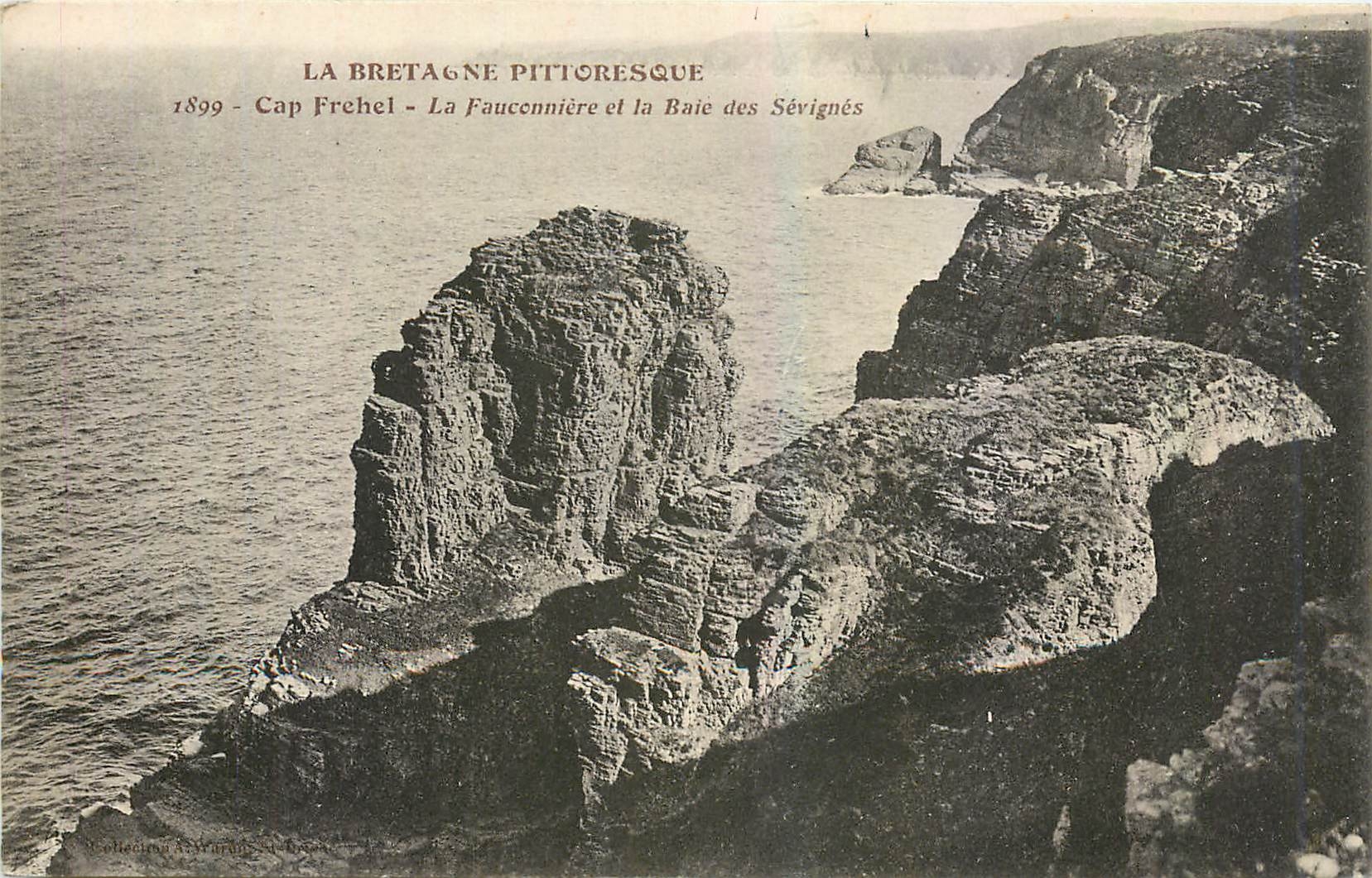 CPA Cap Frehel La Fauconniere et la Baie des Sevignes