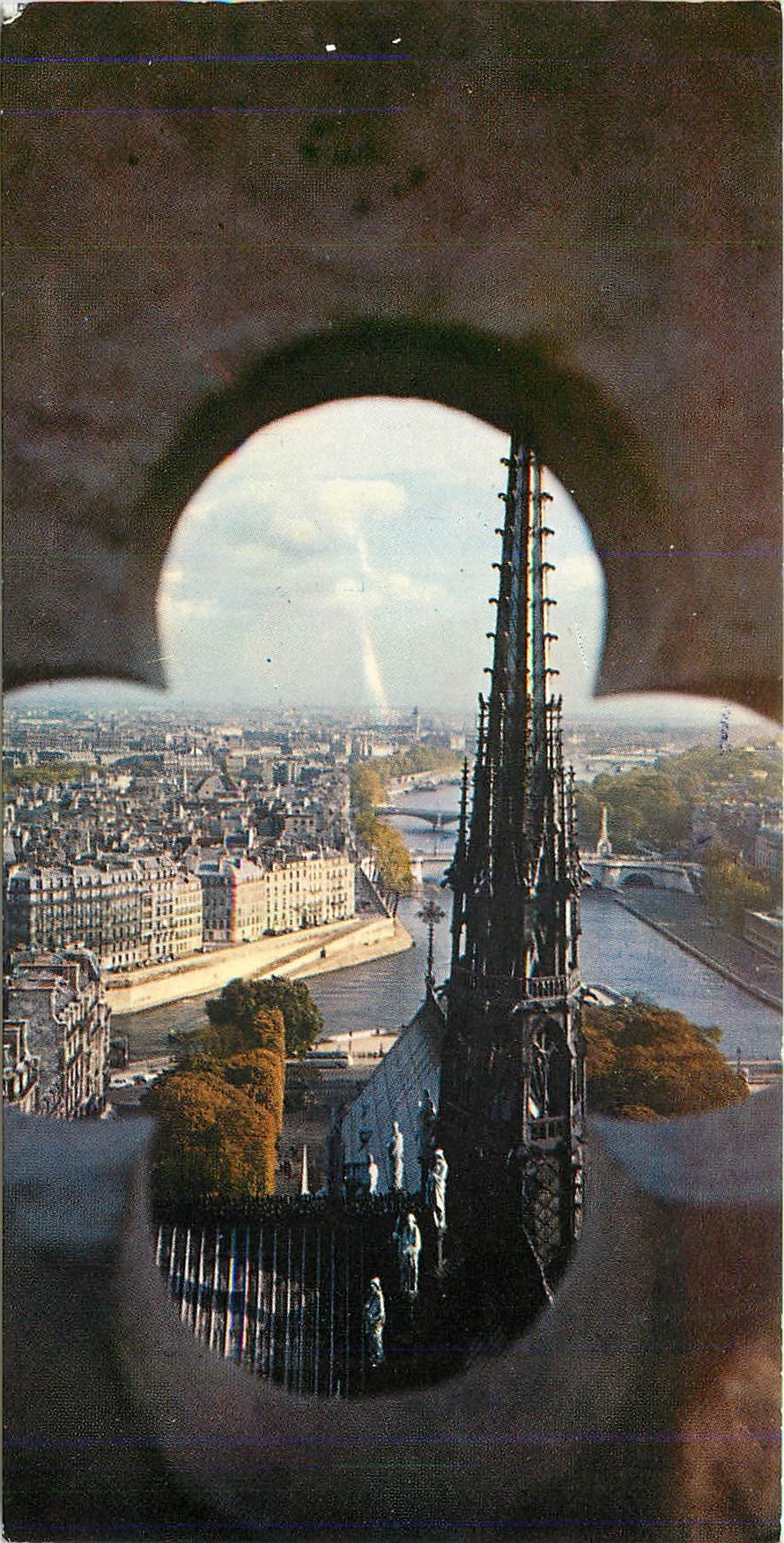 CPM Paris vu des Tours de Notre Dame 