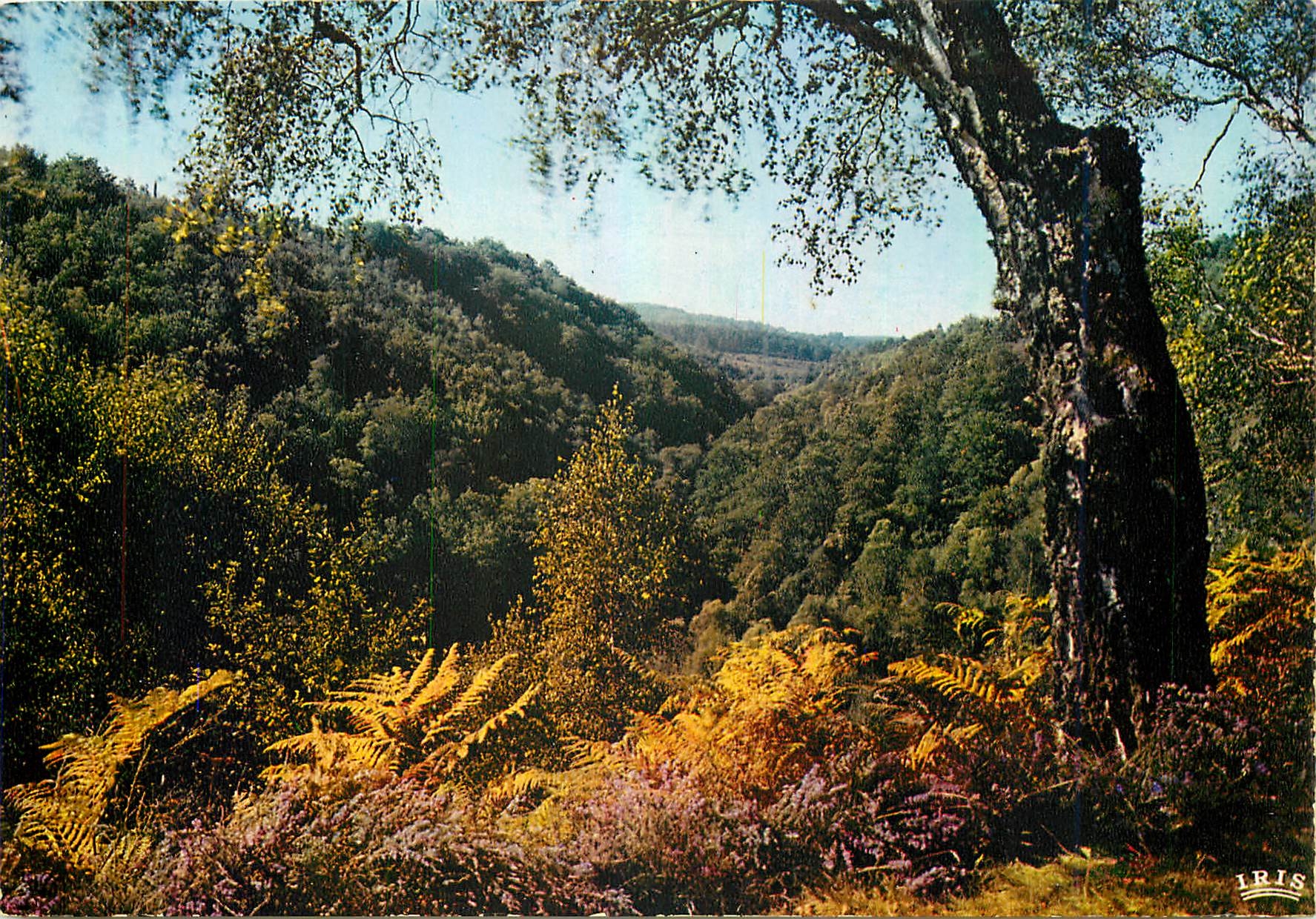 CPM Vallee du Taurion Aux environs de Vallieres Creuse