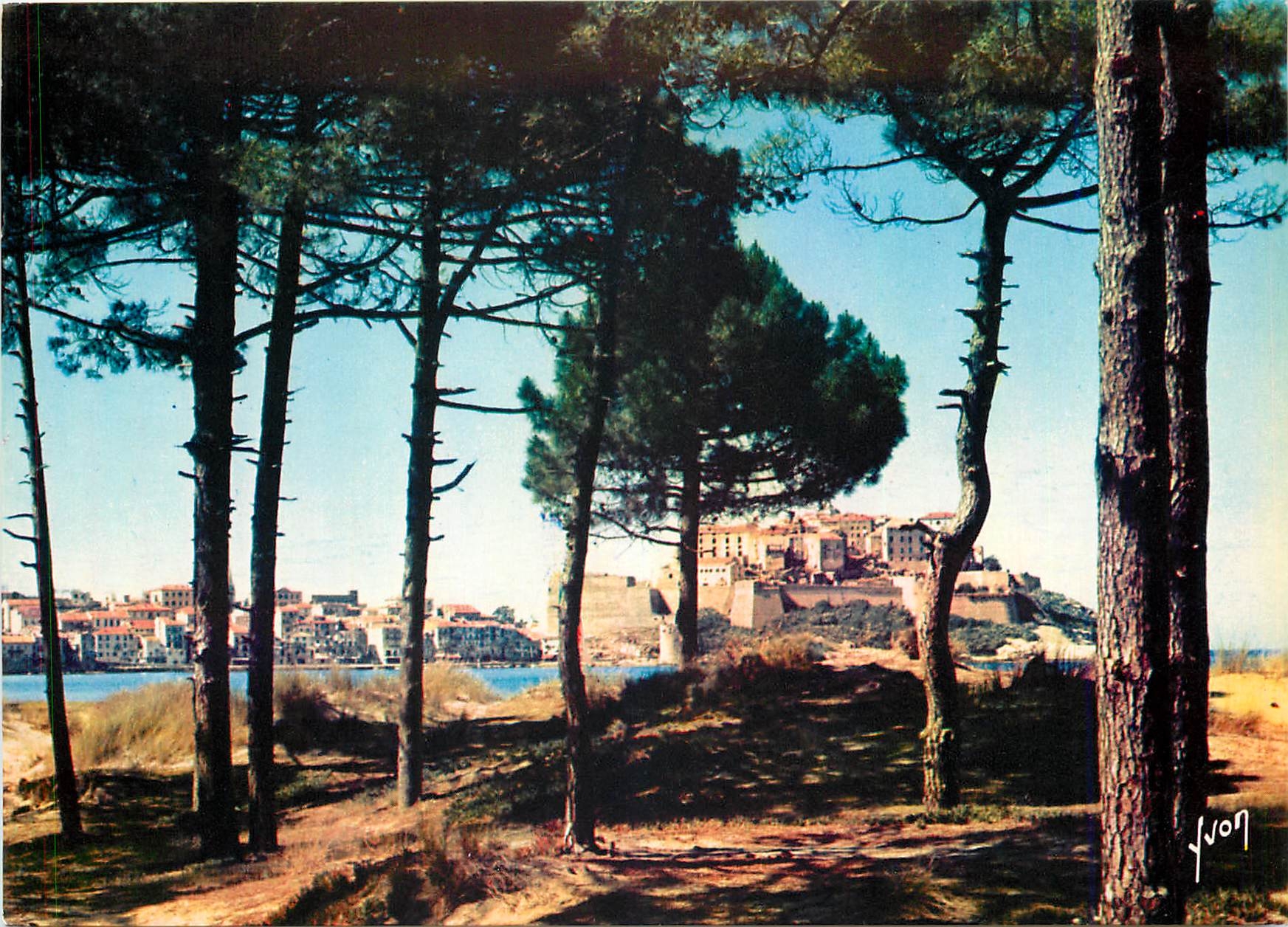 CPM La Corse Oasis de Beaute Calvi Vue generale a travers les pins et les dunes bordant la plage lon