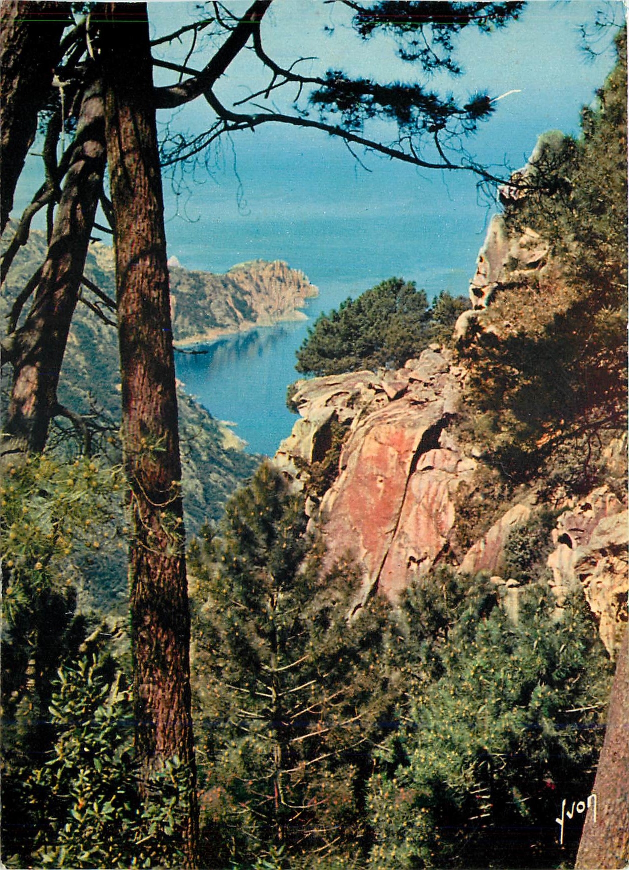 CPM La Corse Oasis de Beaute les Calanche Ravin encadre de magnifiques roches rouge