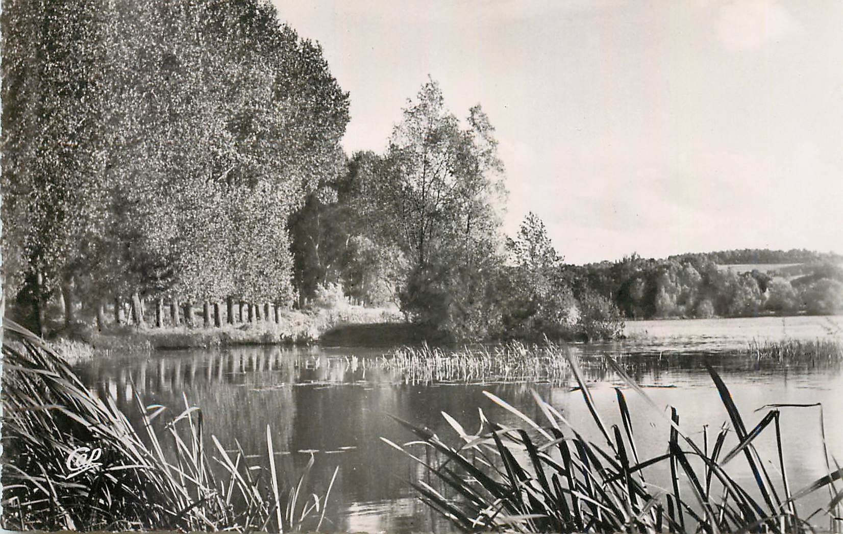CPM Gisors Etang de la Balastiere