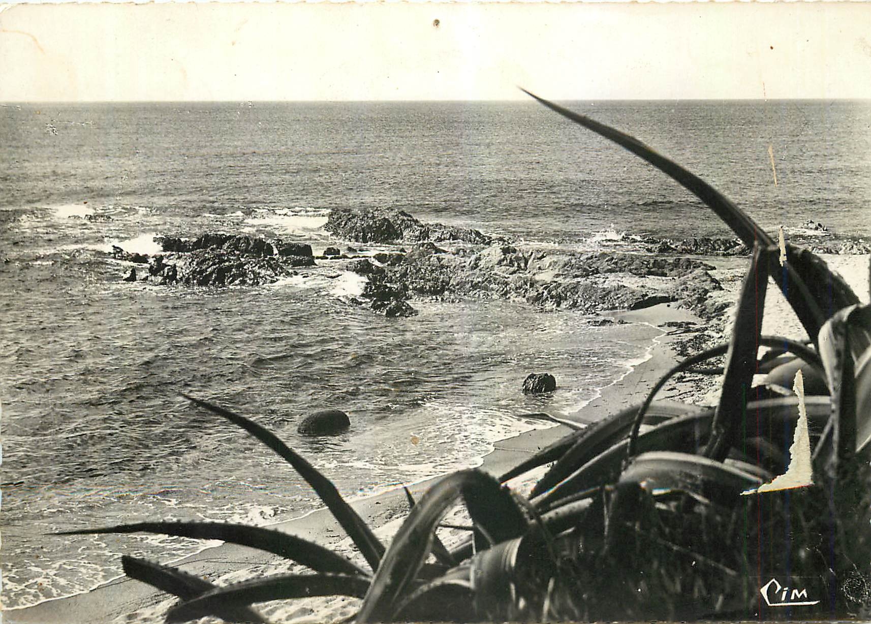 CPM Cote d'Azur varoise Croix Valmer (Var) Cap Myrtes Rocher