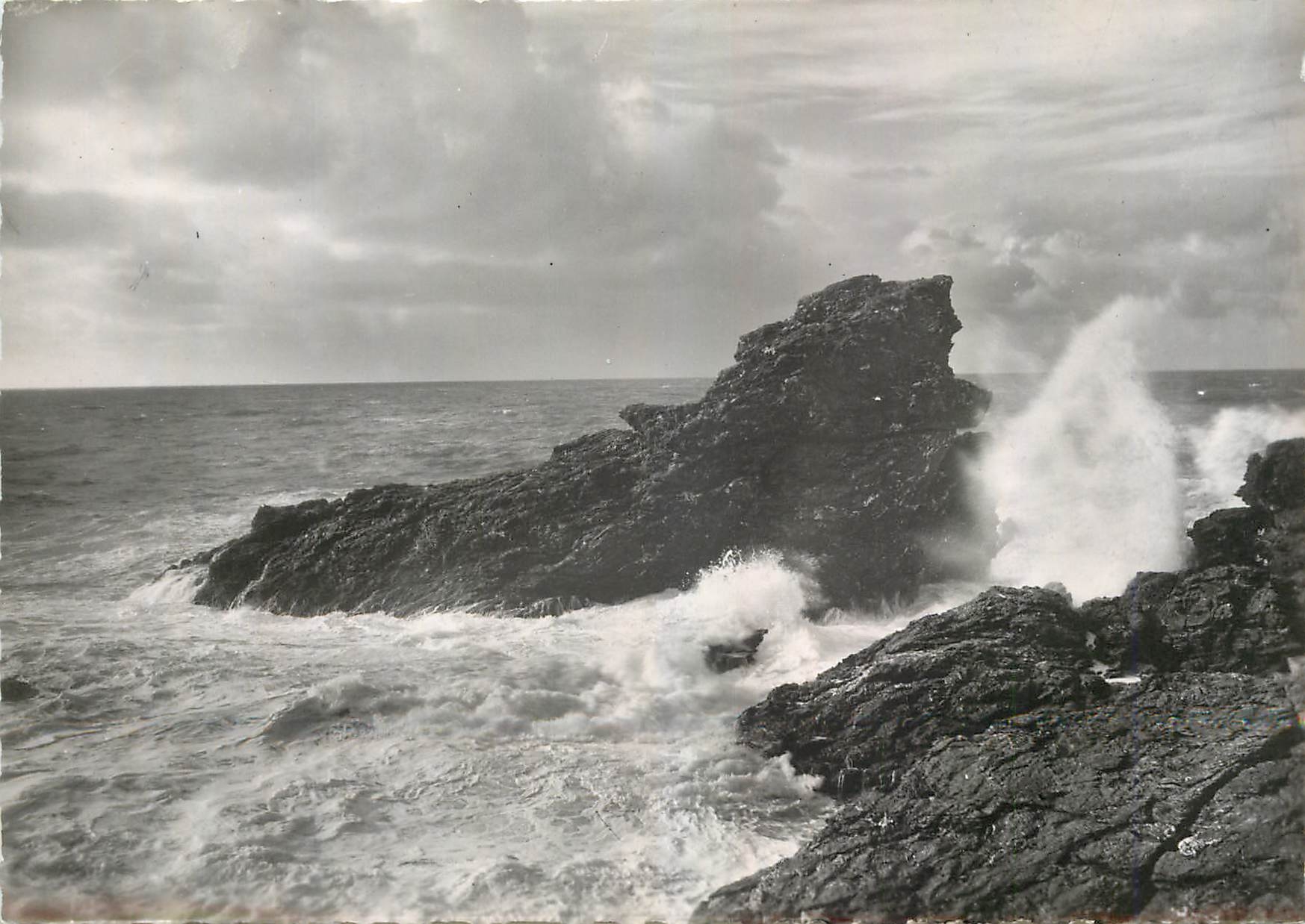 CPM Belle isle en mer Sauzon Le Chien