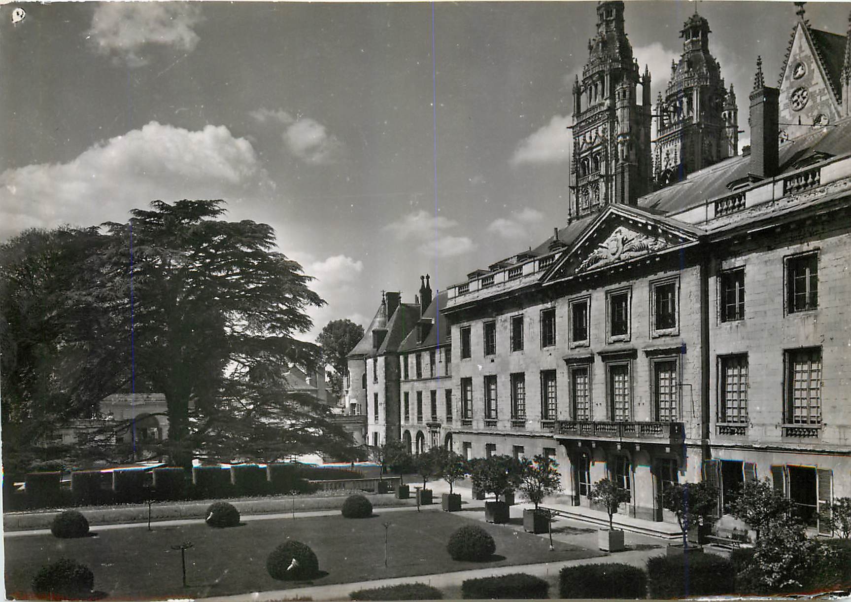 CPM Tours (I et L) Le Musee des Beaux Arts et le grand Cedre