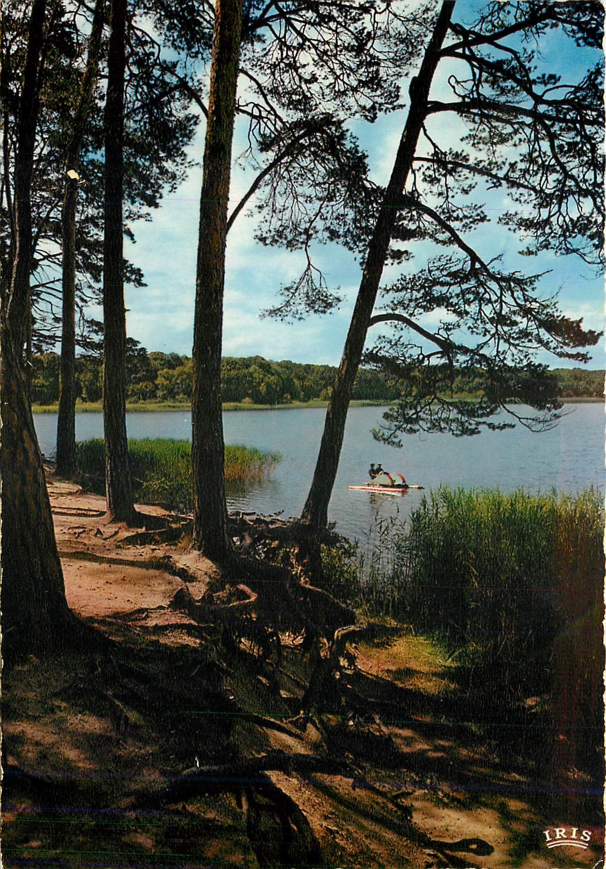 CPM Sites du Bourbonnais L'Etang de Saint Bonnet Troncais Pedalo