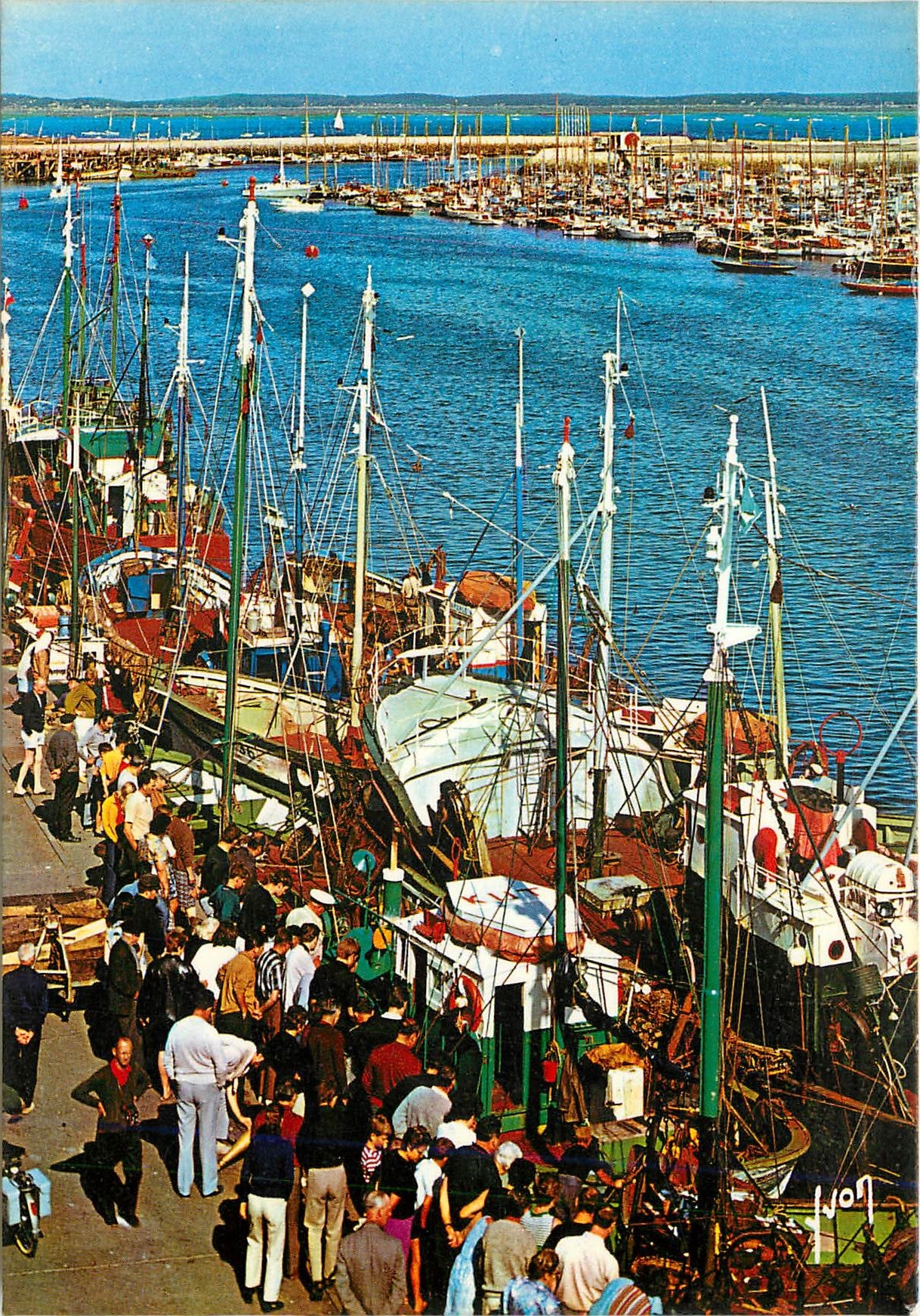 CPM Couleurs et Lumiere de France Arcachon (Gironde) Le Port de Peche et de Plaisance Bateaux