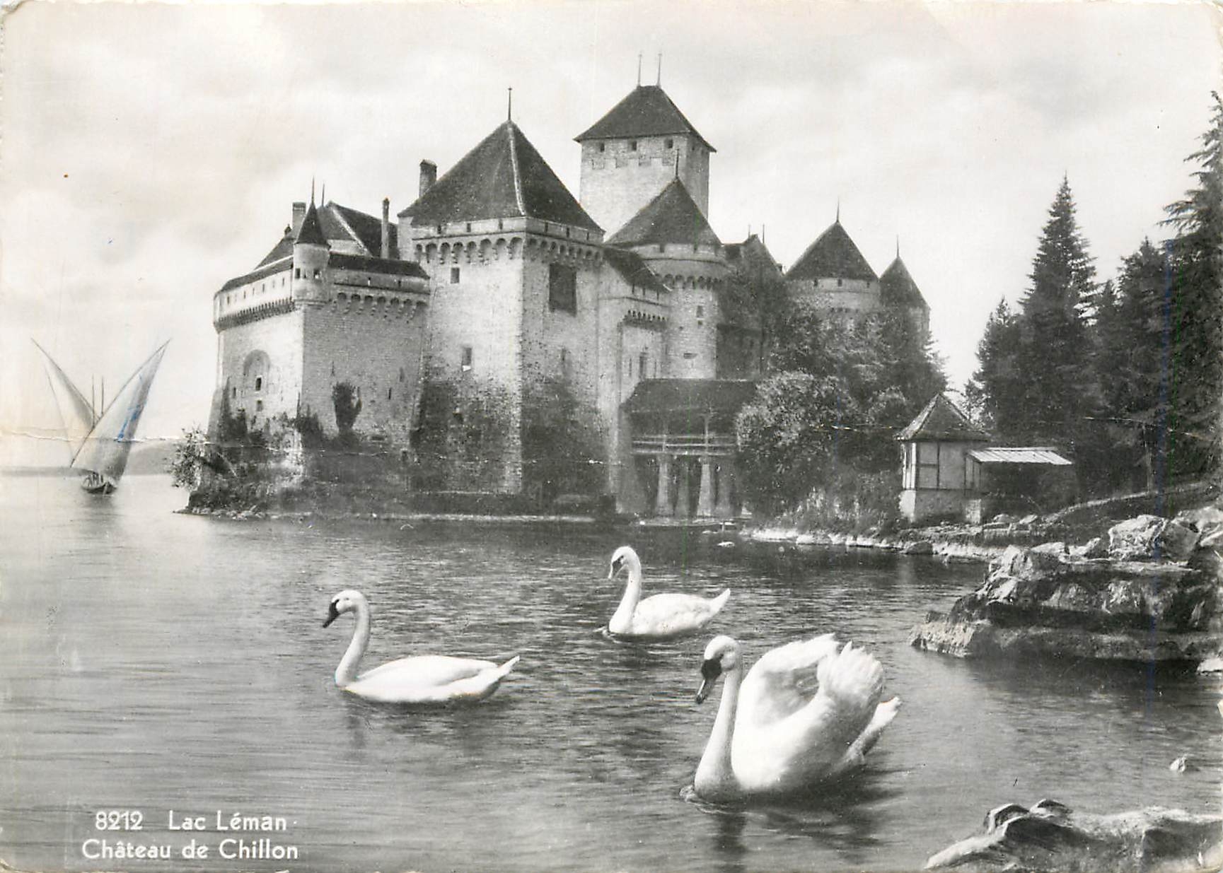 CPM Lac Leman Chateau de Chillon Cygnes
