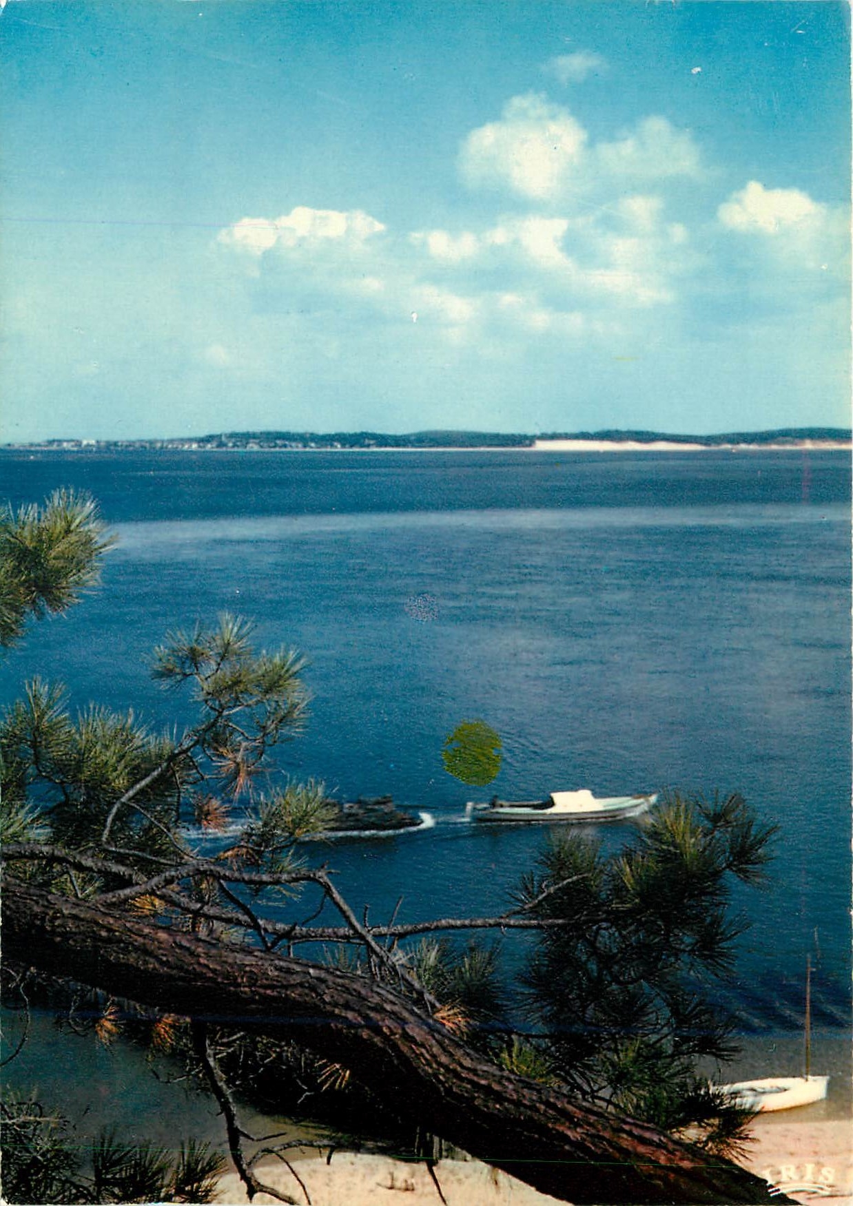 CPM Cote Aquitaine Cap Ferret Le retour du chaland des parcs a huitre au fond Arcachon