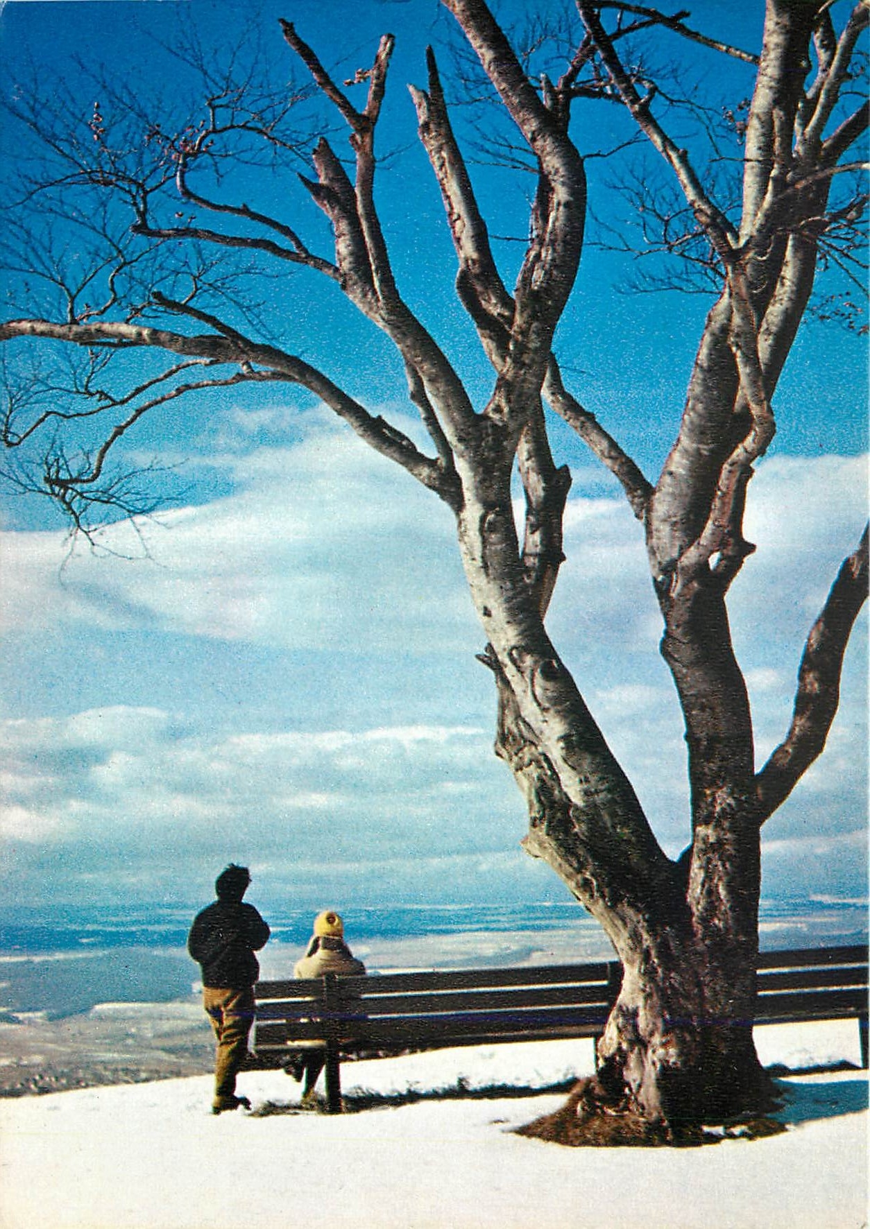 CPM Paysage dans la neige