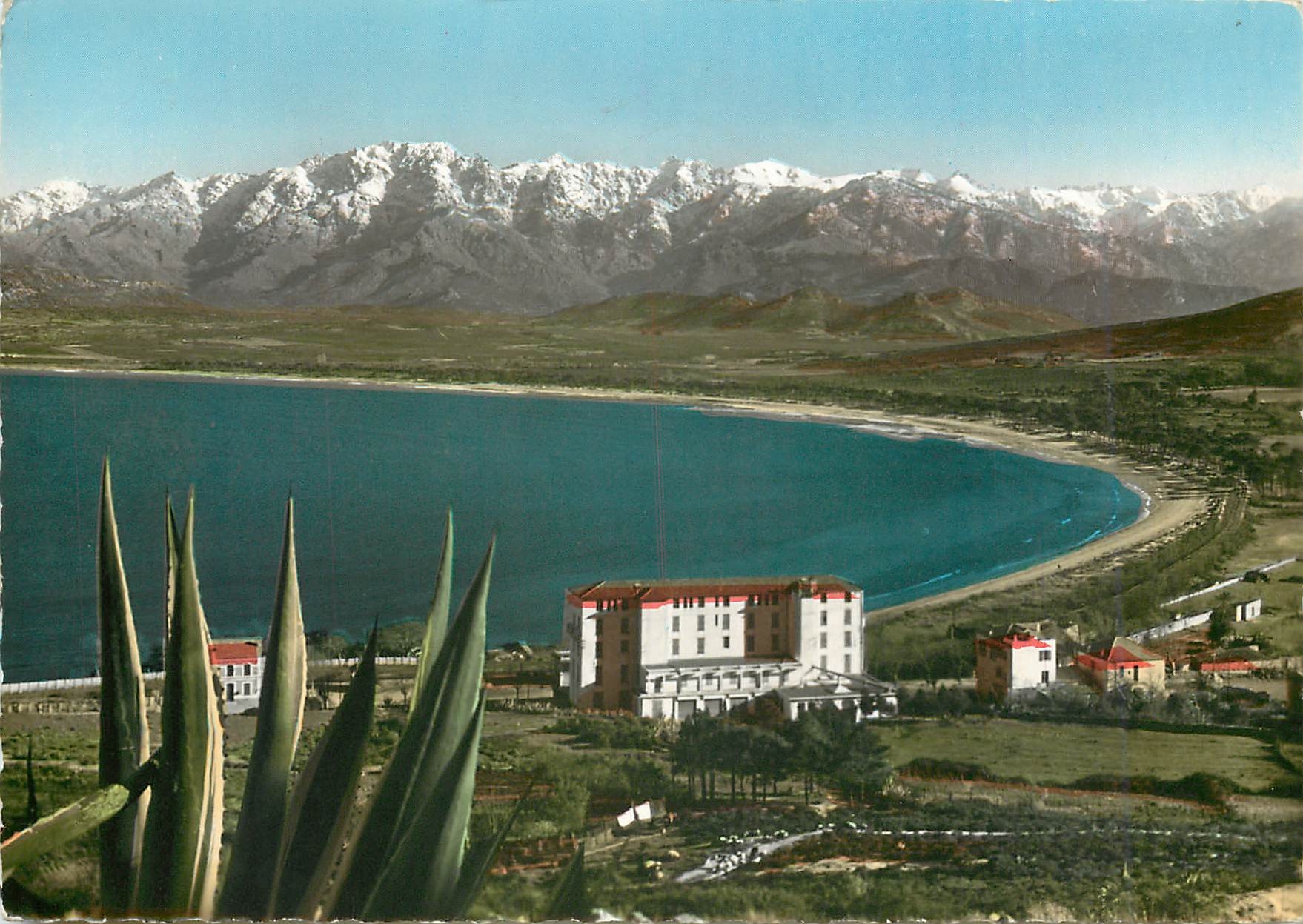 CPM La Corse Ile de Beaute Calci la plage et le tond du Golfe
