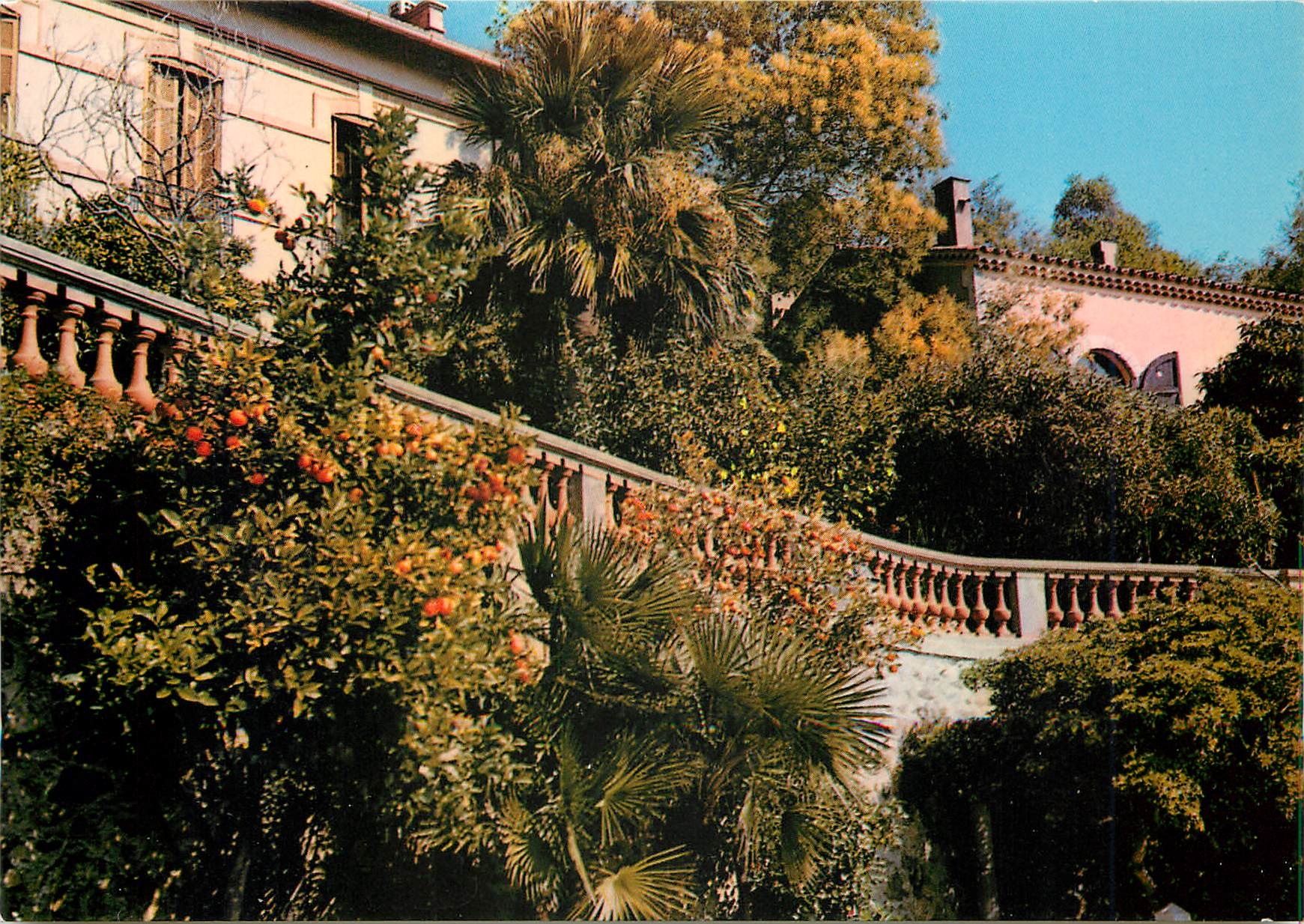 CPM Bormes les Mimosas la Perle du var