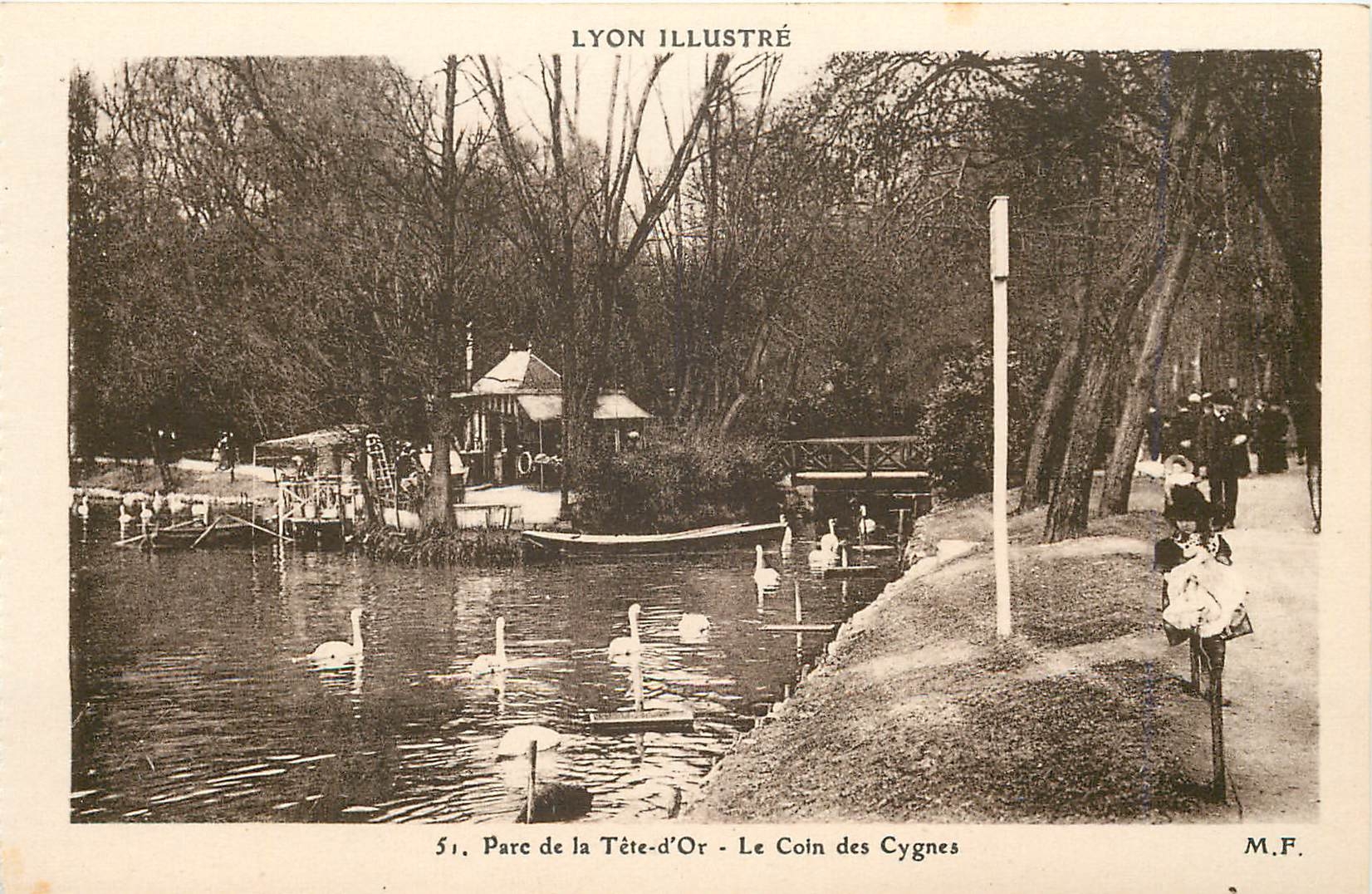CPA Lyon Illusstre Parc de la Tete d'Or le Coin des Cygne