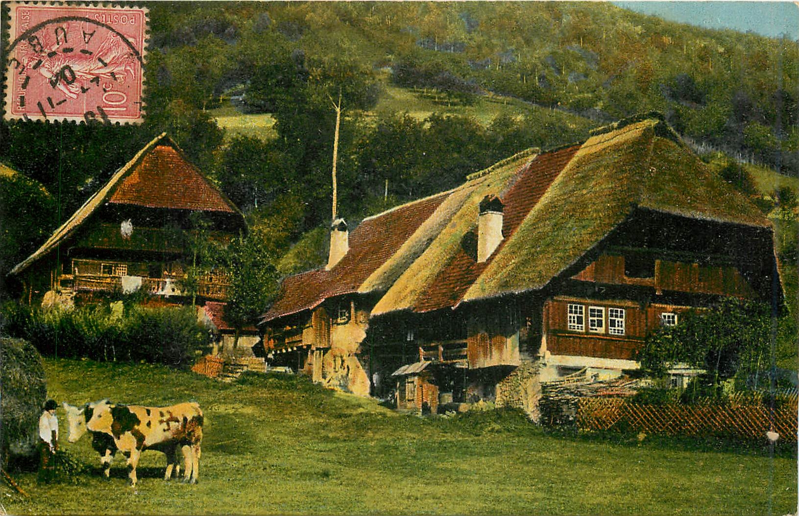 CPA Vaches 