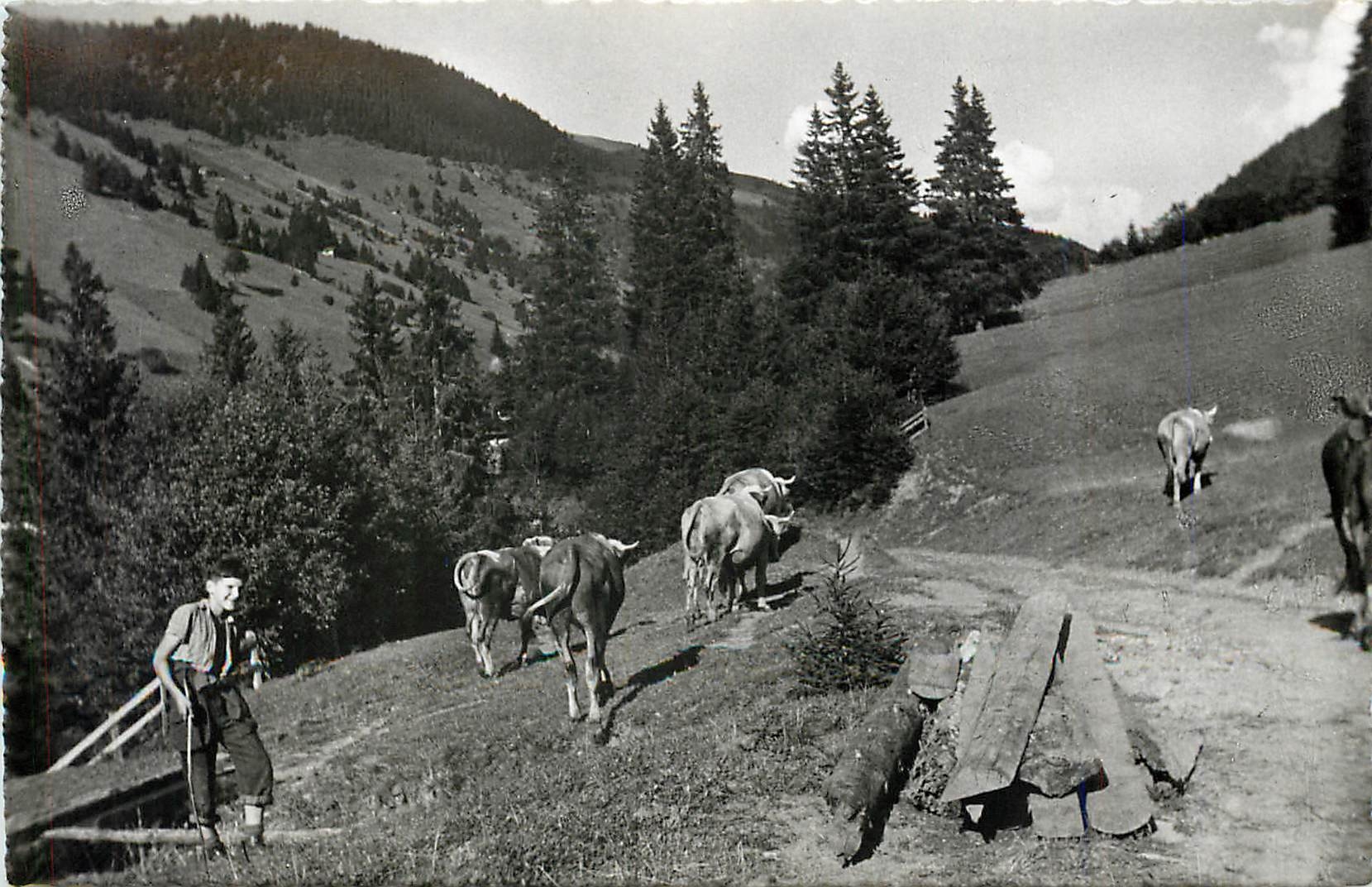 CPM Morgins Col de l'Aberieux Vaches