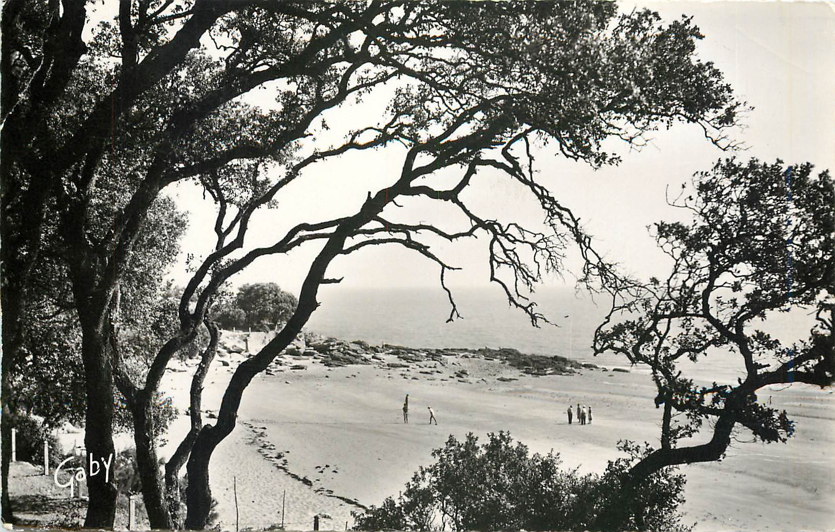 CPM Ile de Noirmoutier Vendee Echappee au bois  de la Chaize