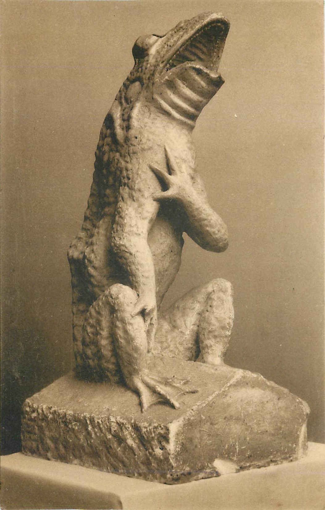 CPA Blois Ancienne Gargouille La Grenouille