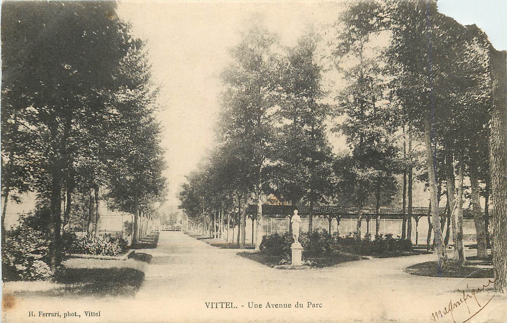 CPA Vittel Une Avenue du Parc 