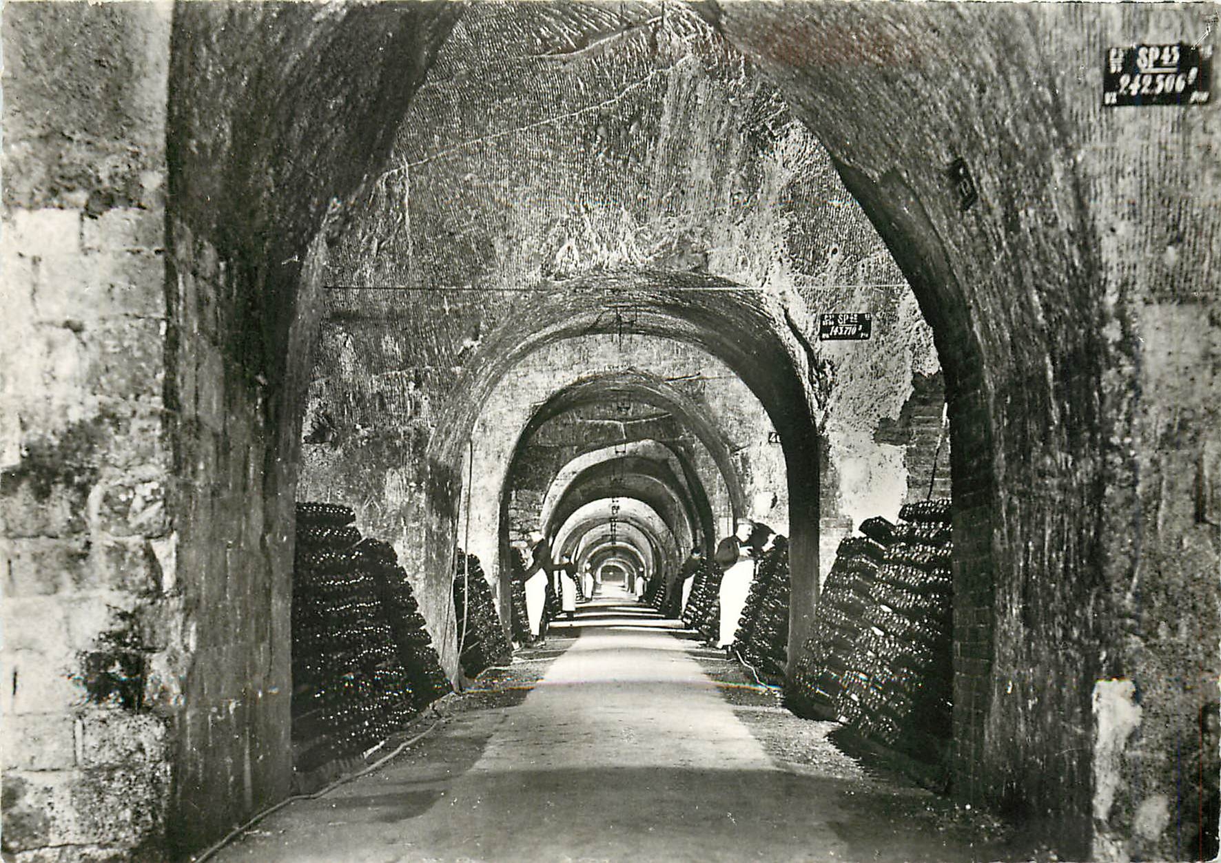 CPM Au coeur meme des 18 kms de caves Champagne Merier Epernay 