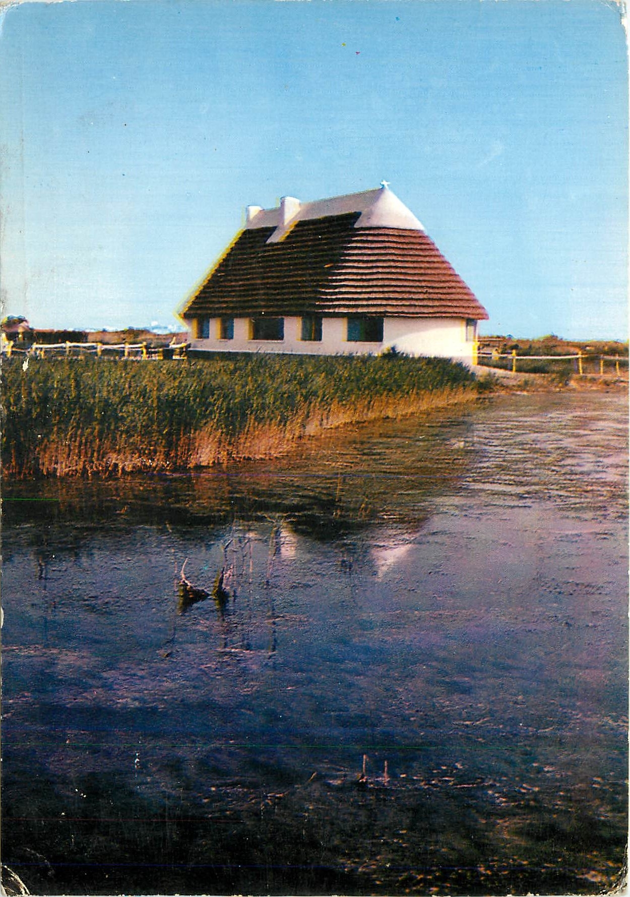 CPM Les Belles Images de Camargue Cabane de Gardian et sa Roubino