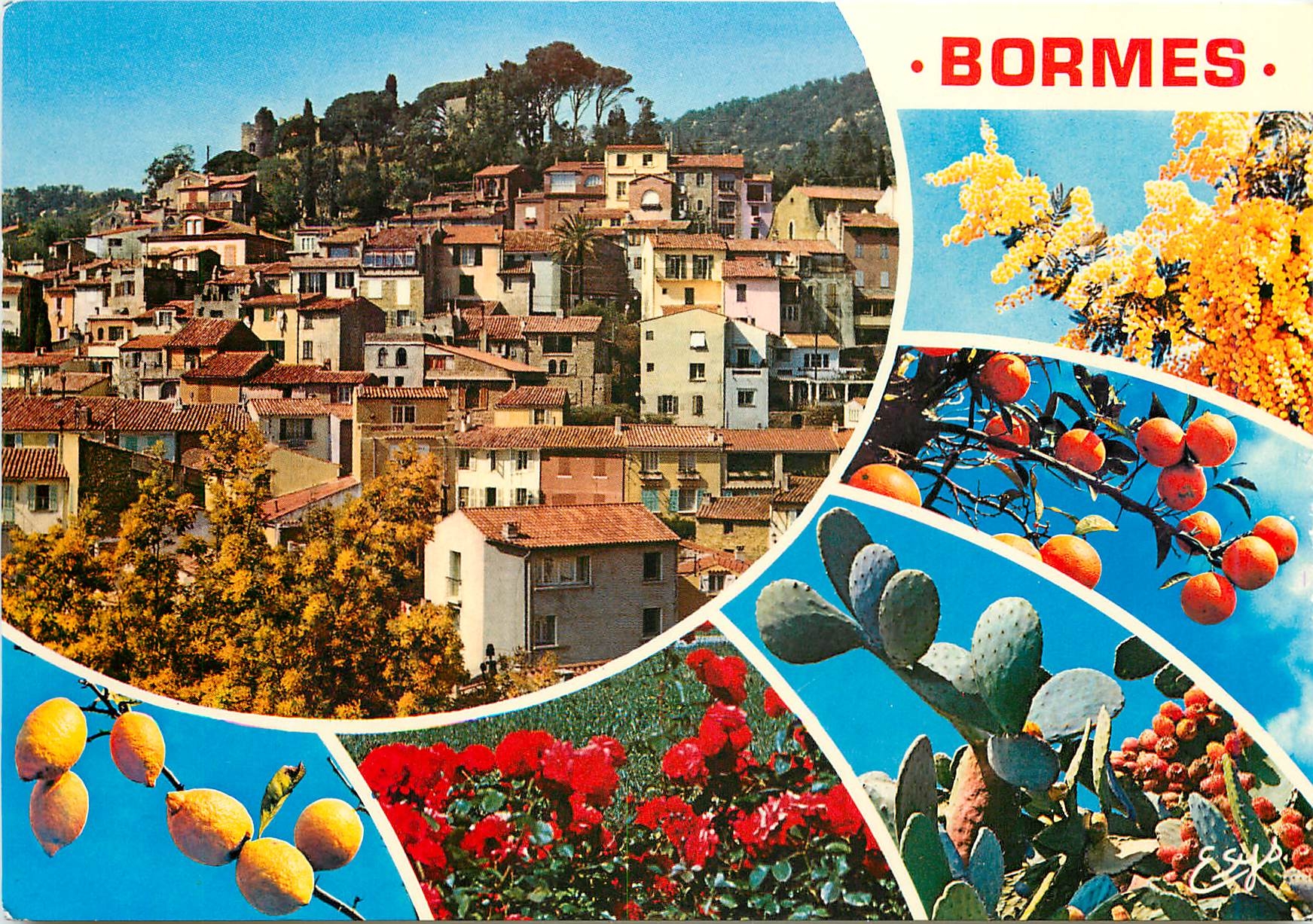 CPM Bormes les Mimosas Var Vue generale