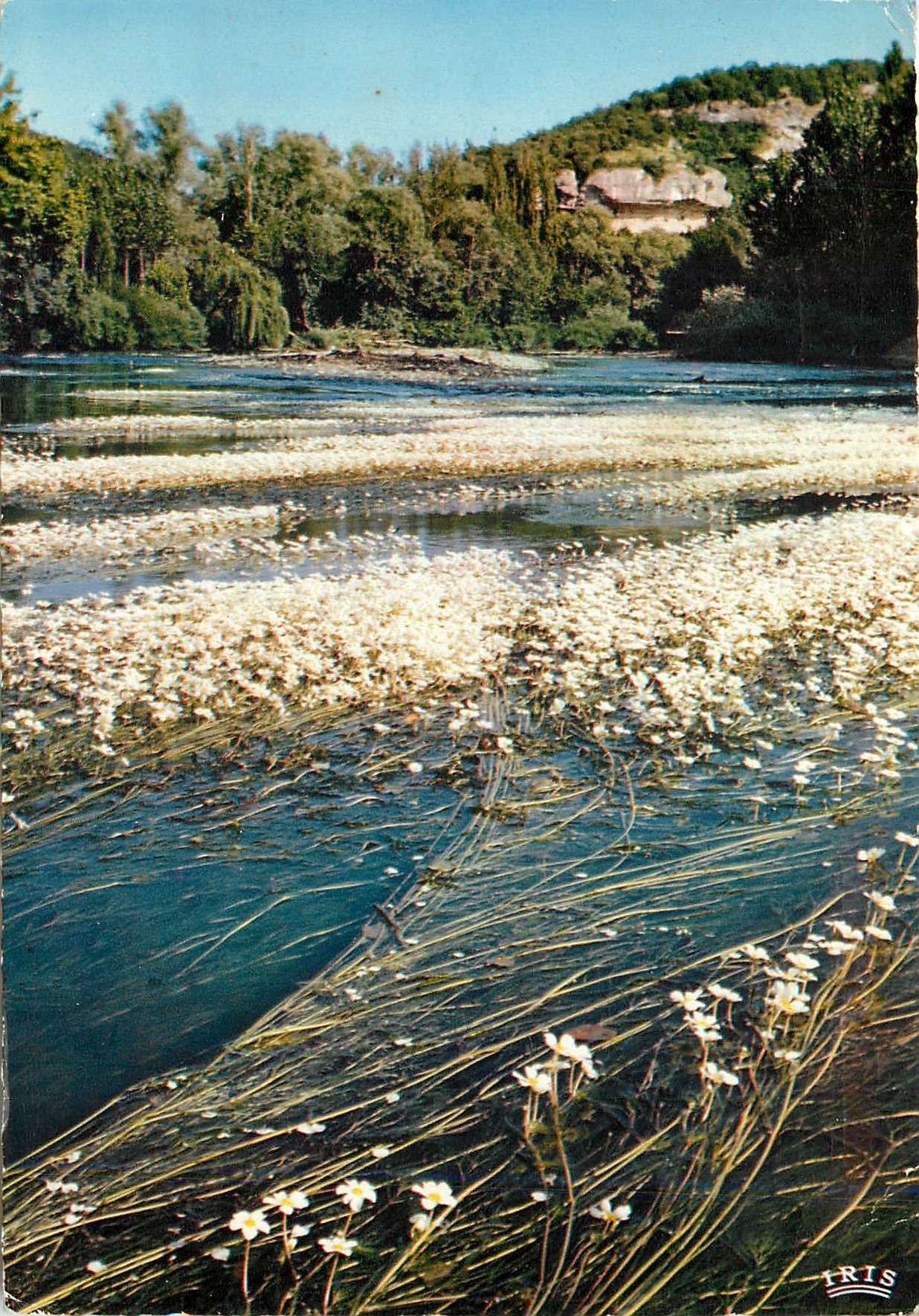 CPM Perigord Pittoresque Printemps sur la Vezere 