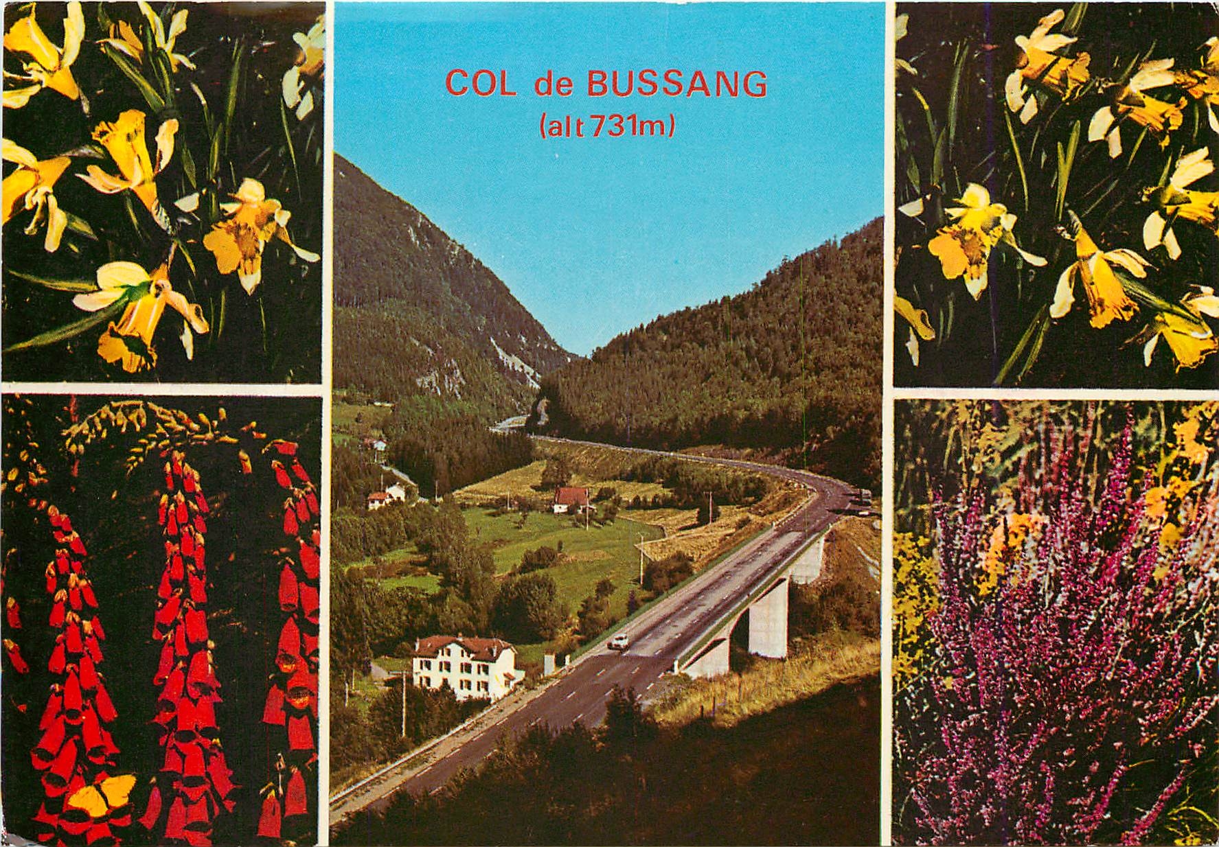 CPM Entre les Vosges et l'Alsace Col de Bussang et Fleurs vosgiennes