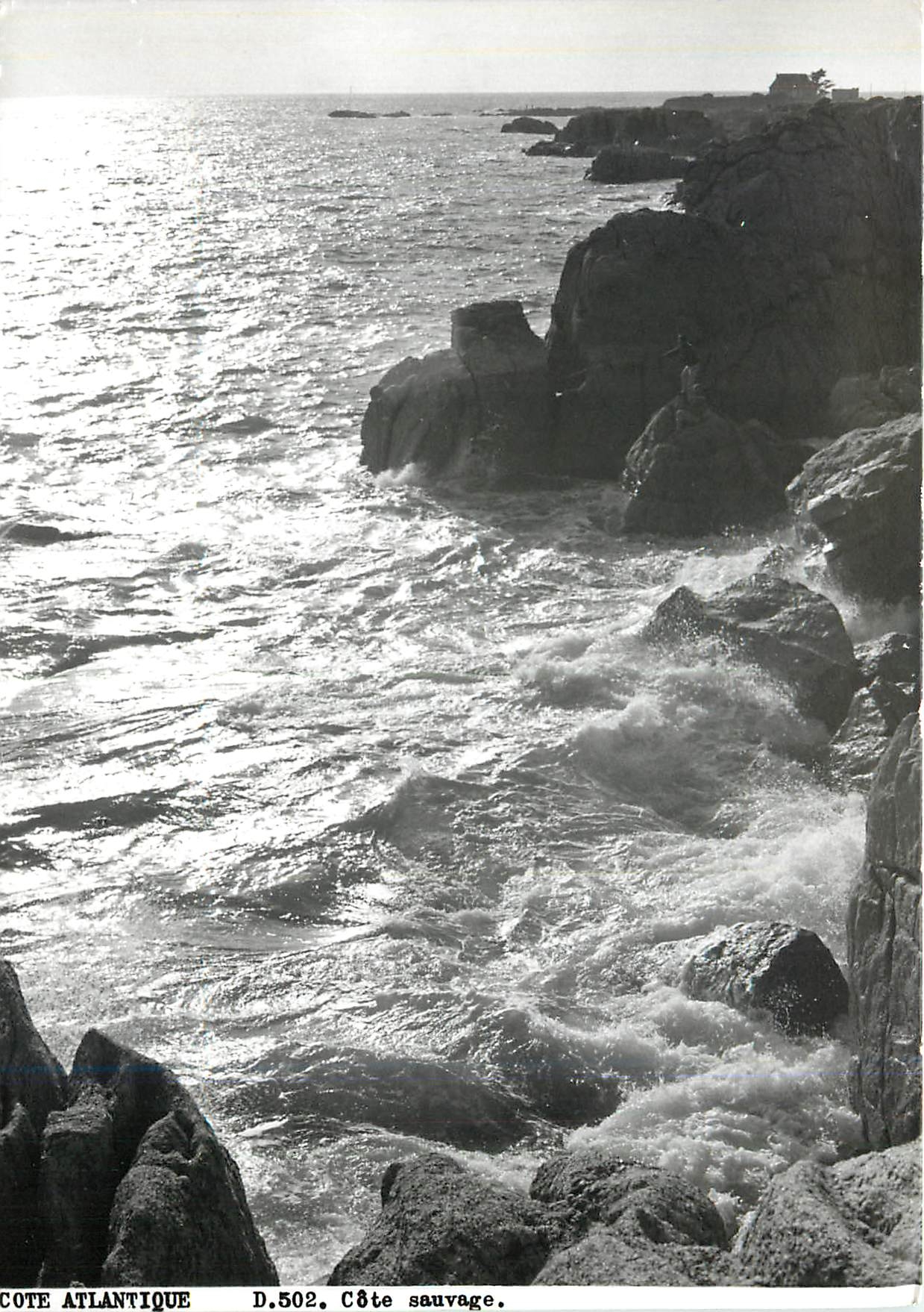 CPM Cote Atlantique Cote sauvage 