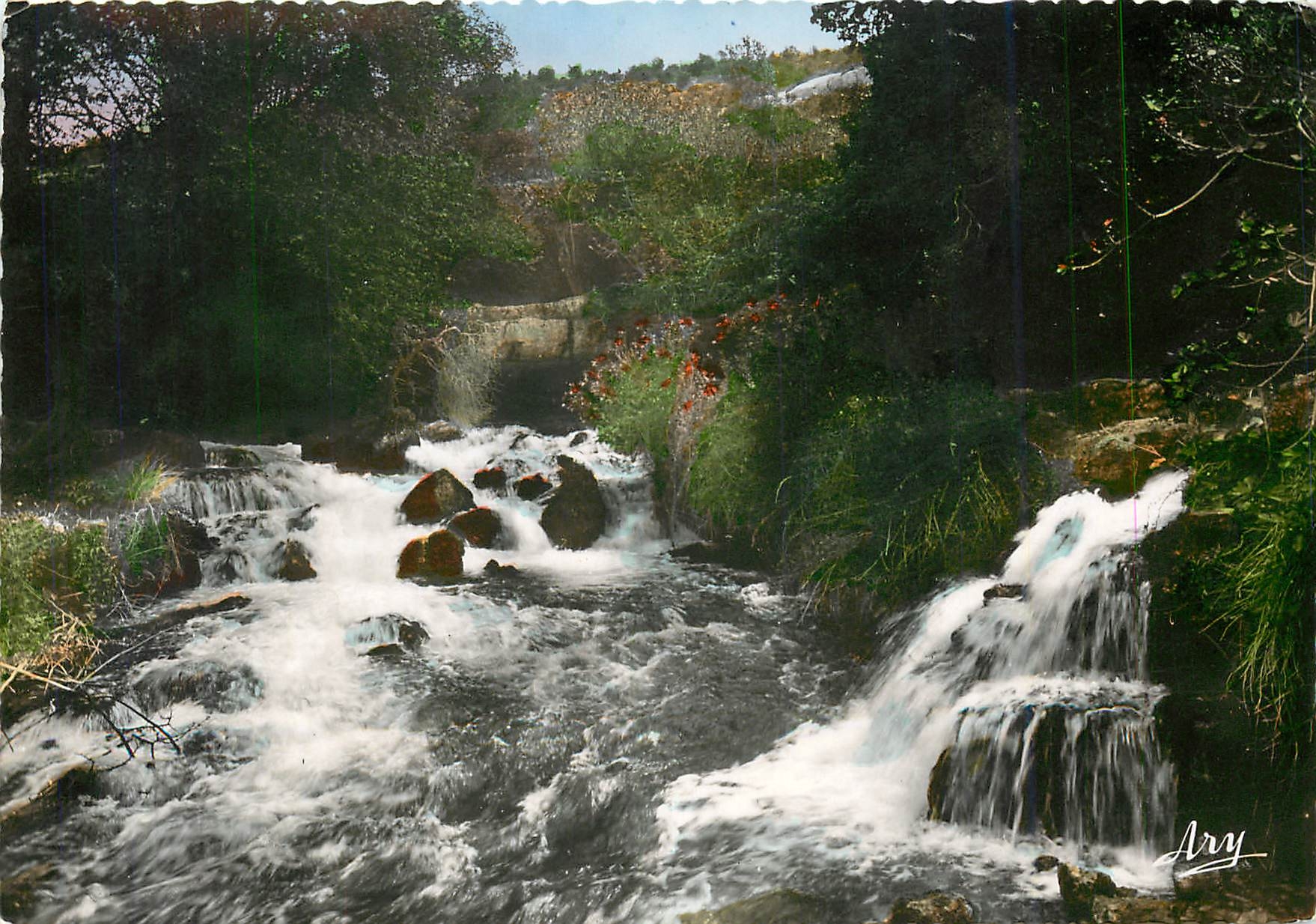 CPM Les Gorges Pittoresques du Verdon Source de Fontaine L'Eveque