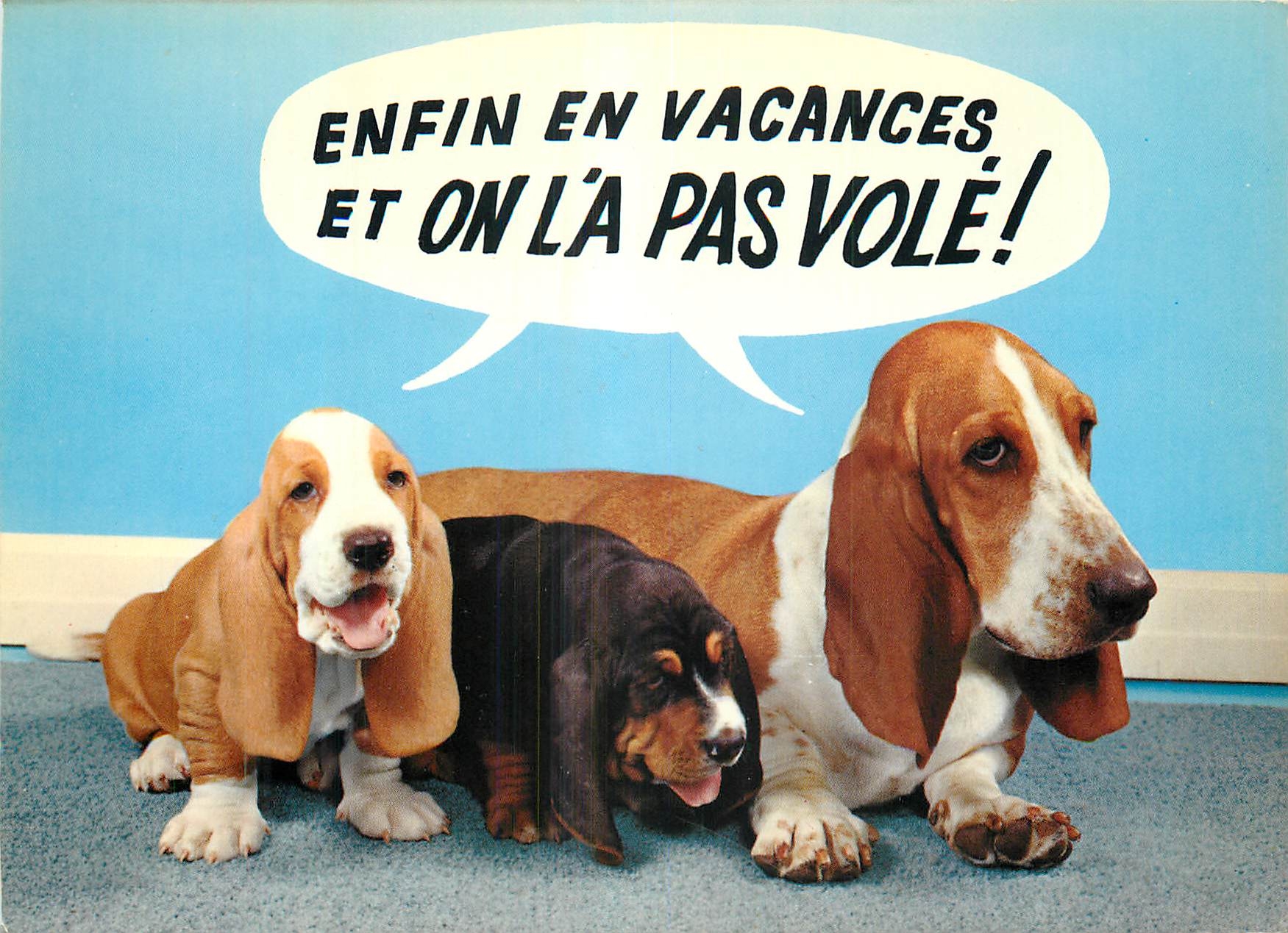 CPM Les Chiens Basset 