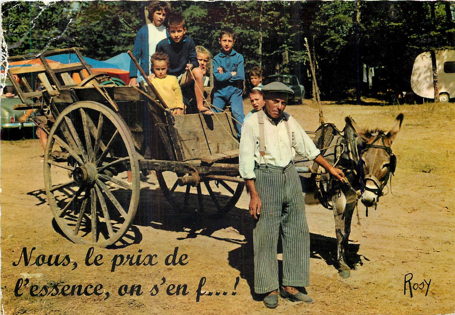 CPM Ane Mule