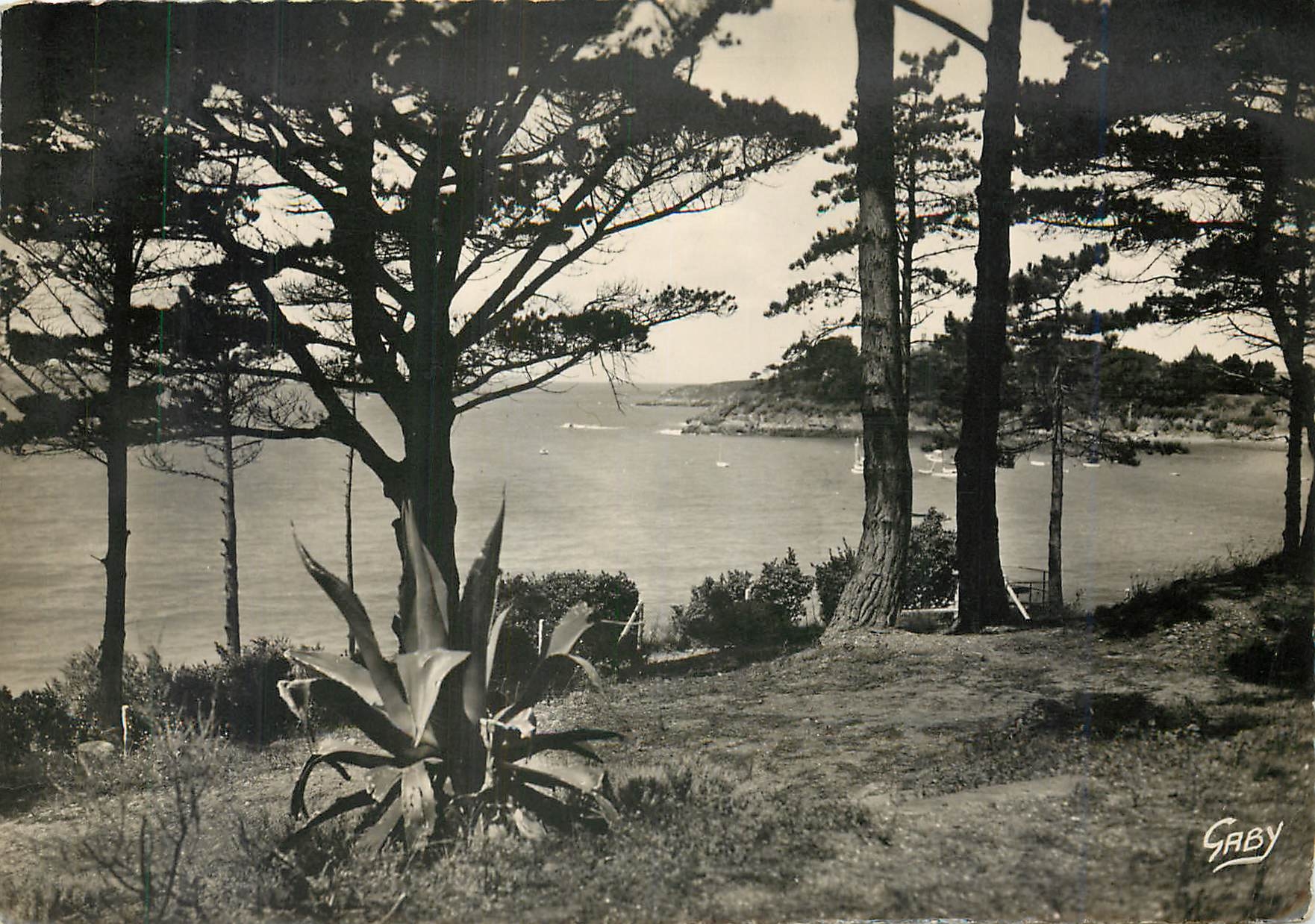 CPM Saint Briac L et V La Pointe des Essarts
