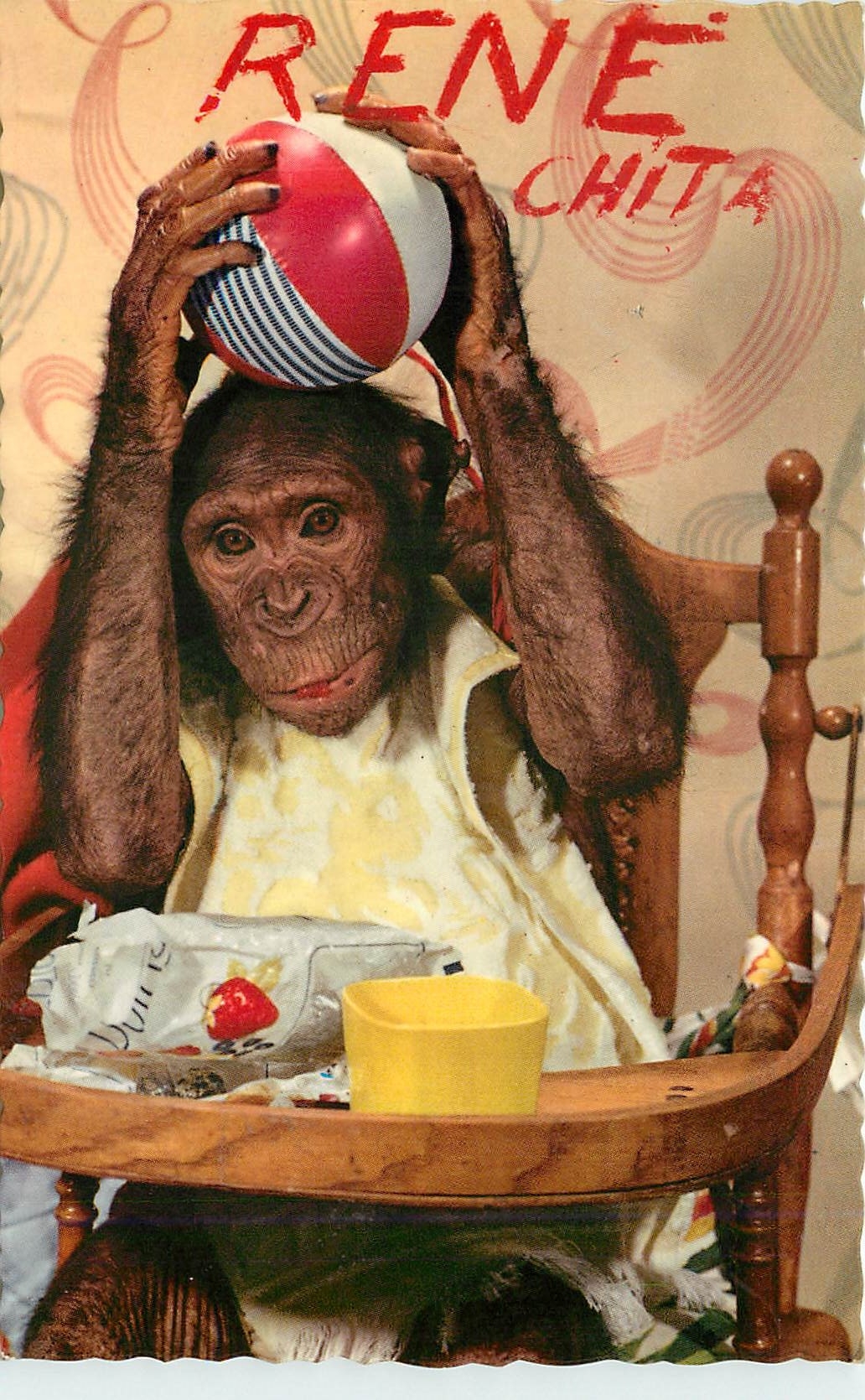 CPM Singe Chimpanze