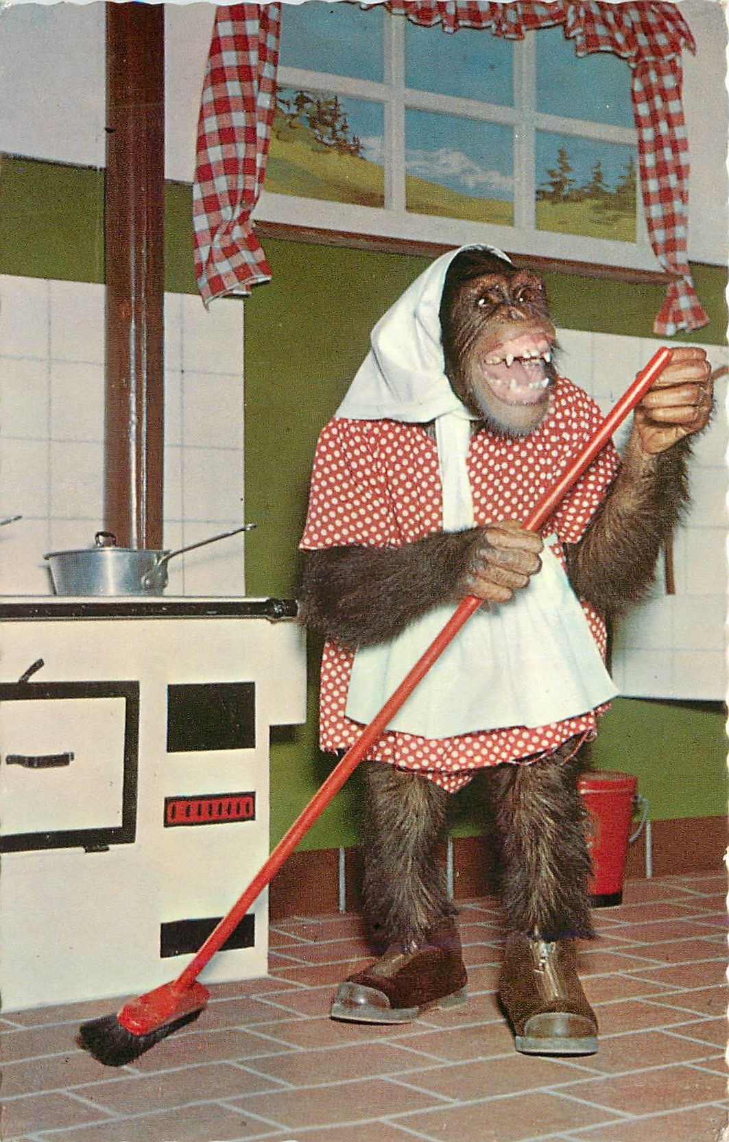 CPM Singe Chimpanze